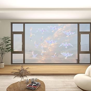 How to Stop Birds from Hitting Windows