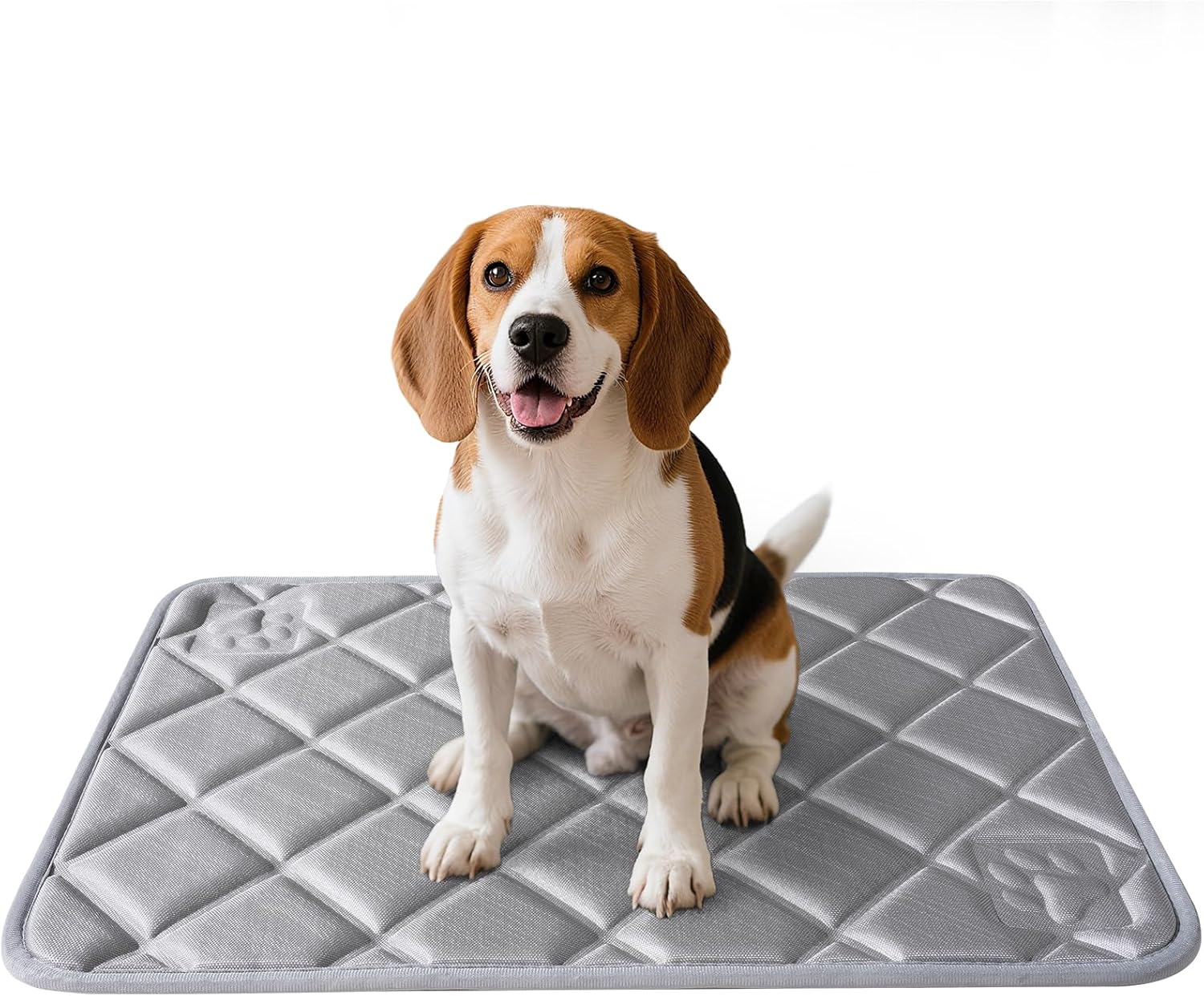 Dog Bed Mat, Soft Foam Kennel Pad Washable Pet Dog Crate Pad with Anti-Slip Bottom for Small/Medium Dogs, Grey 31"x20" 20"x30" Gray