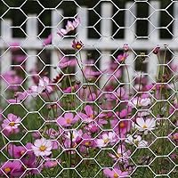 Vista 4 de MTB 20GA - Alambre hexagonal galvanizado para aves de corral, 18 pulgadas x 25 pies x 1 pulgada