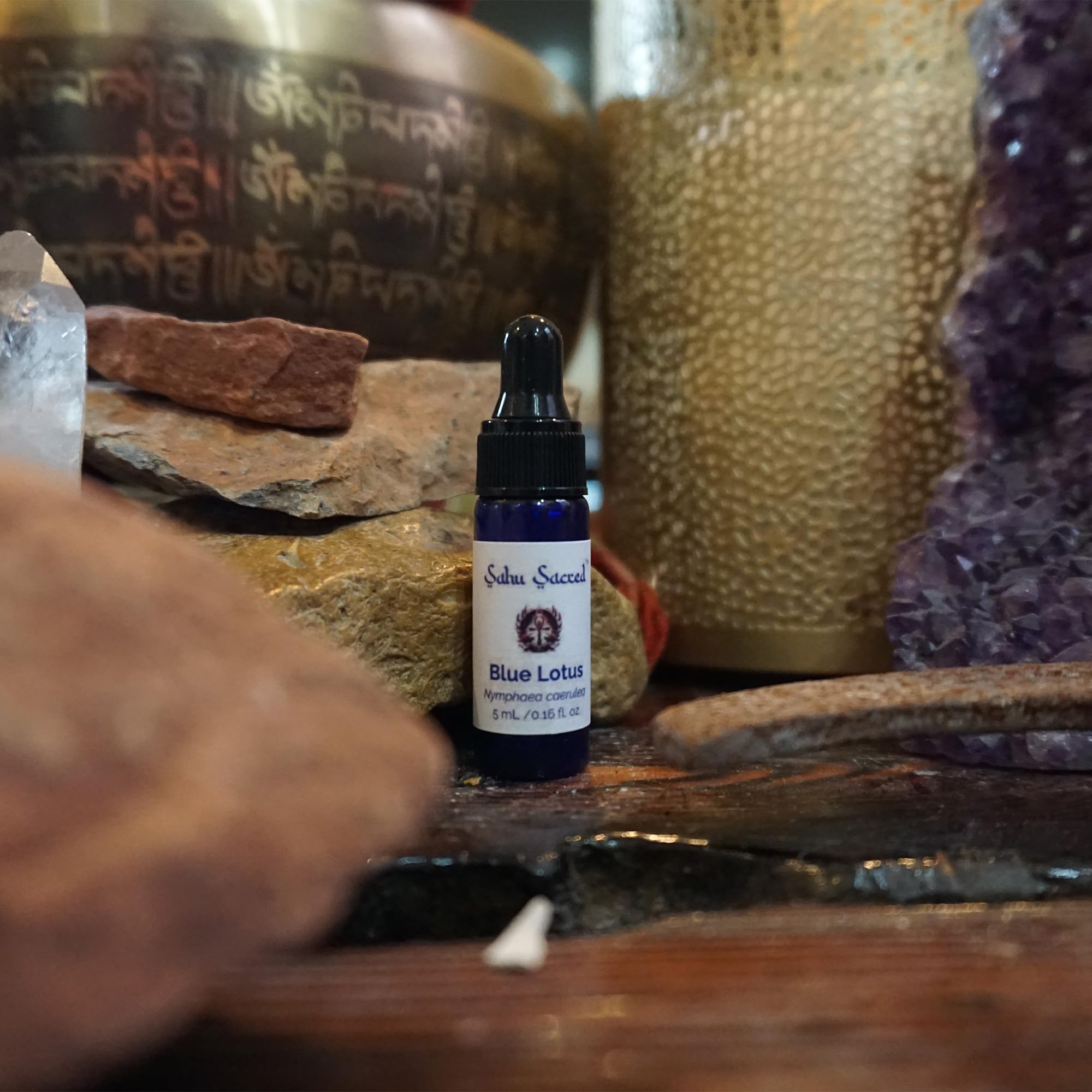 Amazon.com: Egyptian Blue Lotus Oil – 100% Cold-Pressed Pure