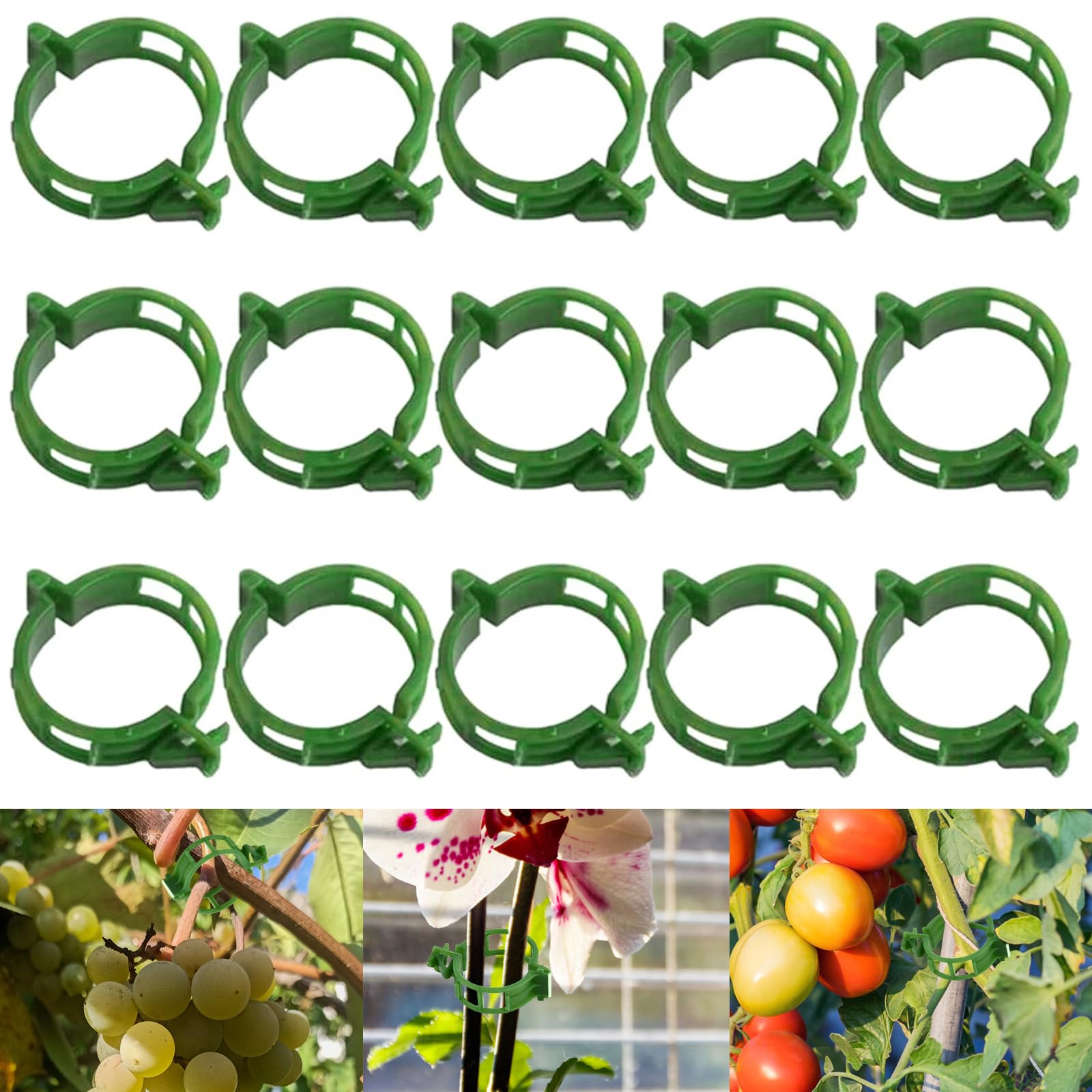 Bandres De Résistance Fitness – Set Multicolore – Latex – Pour Gym, Yoga, Musculation à Domicile