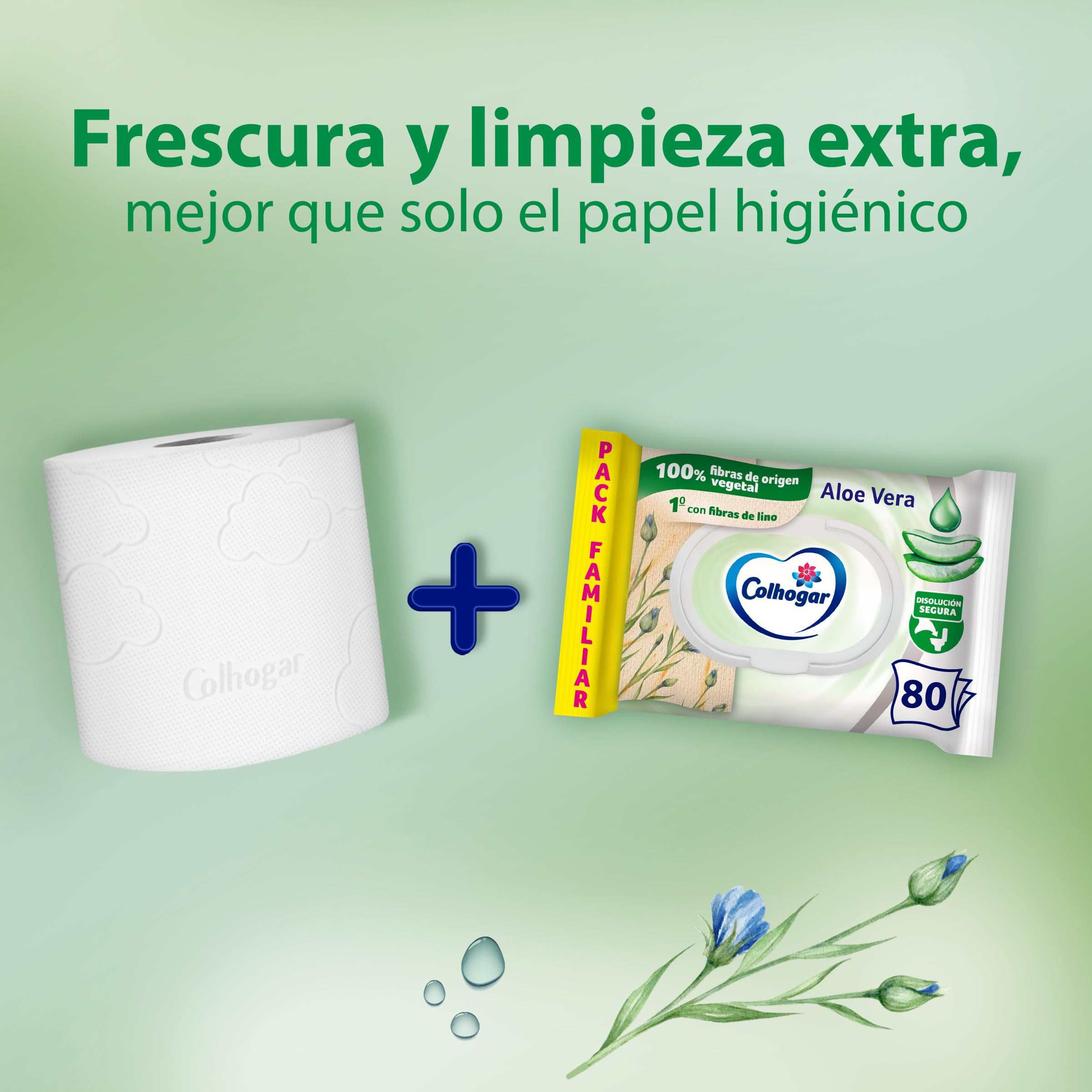 Colhogar Aloe 8x80 - Papel Higiénico Húmedo Desechable con Extracto de Aloe Vera - Sin Alcohol - Dermatológicamente Testado - Paquete con 640 Toallitas Húmedas y Desechables por WC