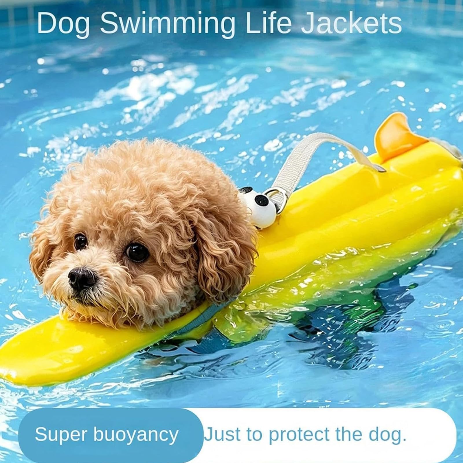 Gilet De Sauvetage Chien, Gilet De Haute Flottabilité (Dinosaure,XXL)