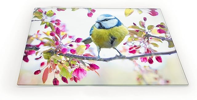 Clear Glass Chopping Board with Cute Birdwatching Print - Size 50cm x 40cm - Non Slip Glass Worktop Savers for Kitchen - Great Worktop Protector for Any Food prep