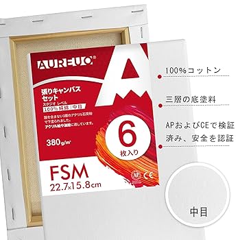 張りキャンバス　10　F,P,M　30枚セット　クレサン　キャンバス クレサン張りキャンバス クレサンジャパン 中目 フリーサイズ