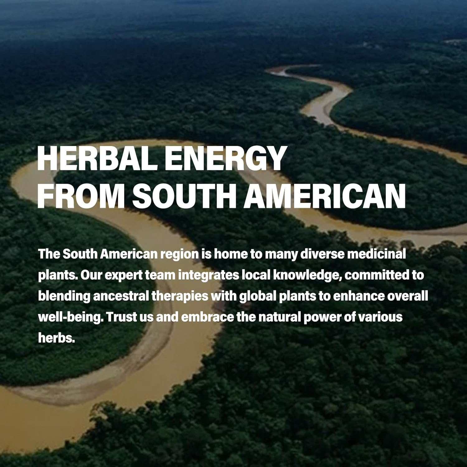 Motherwort Herb Drops for Women Support Menopause, Hot Flashes & Night Sweats Supplements with Dong Quai Red Clover Black Cohosh Extract, Alcohol-Free Tincture.2oz - Image 5