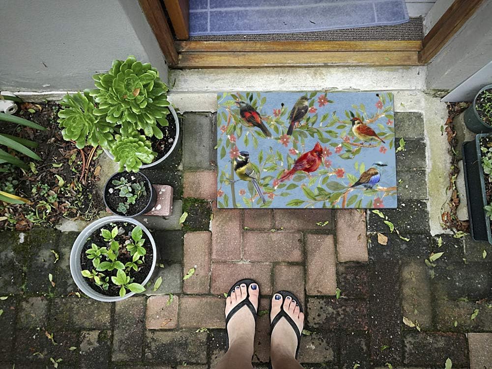 Spring Welcome Door Mat Non-Slip Doormat Decorative Floor Mats Indoor Outdoor Entrance Rug for Porch Entryway Front Door Home Decor (Bird)