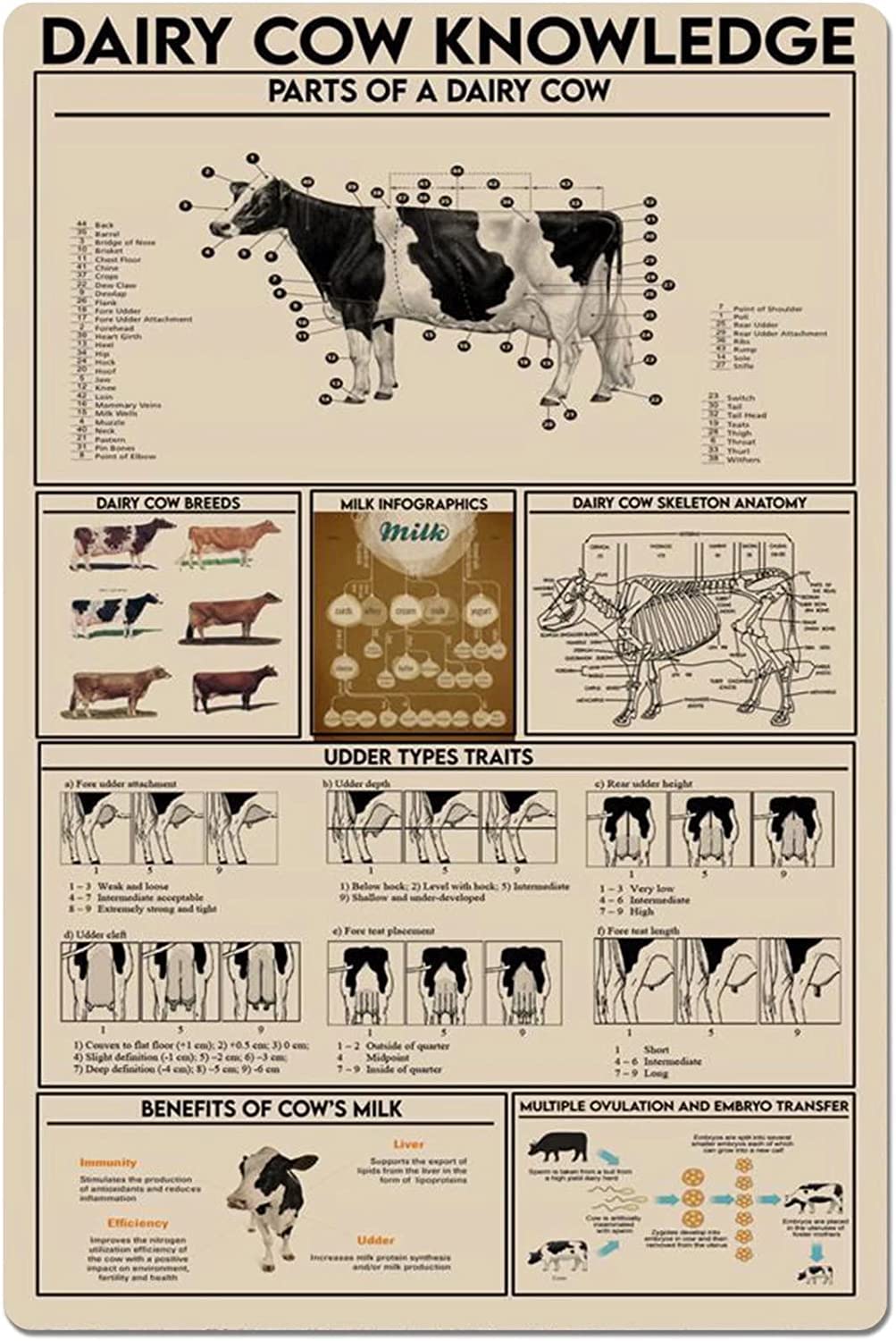 rayprint Dairy Dog Food Knowledge Parts Metal Signs Ranch Infographics Wall Hanging Sign Dairy Cow Anatomy Plaques Herders Home Farm Room Tin Poster Decor 12x16Inches