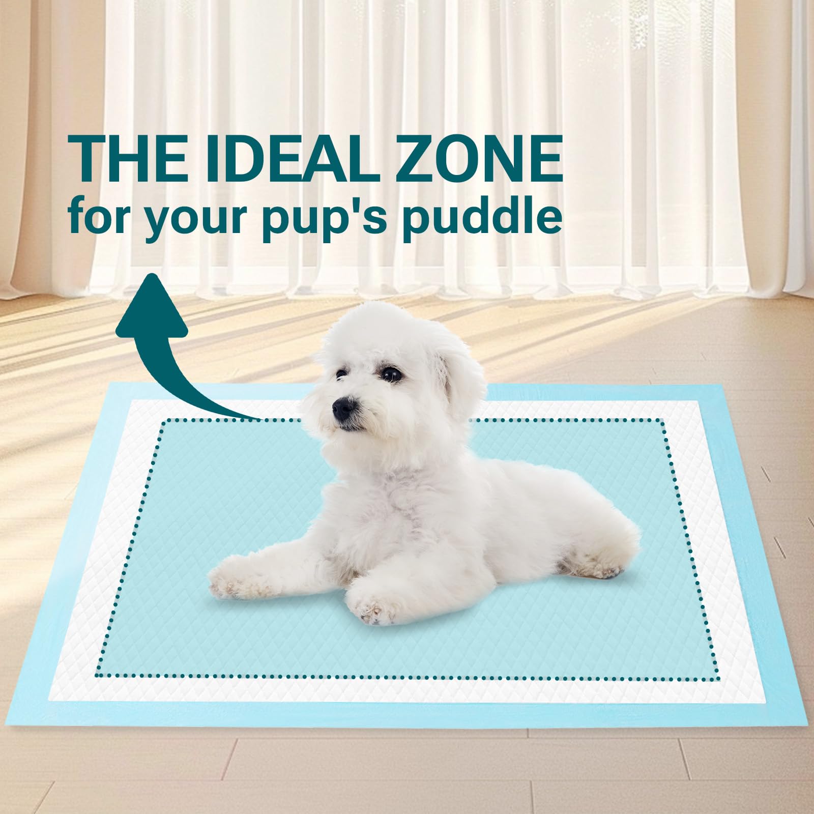 Clean Spaces Almohadillas superabsorbentes para cachorros de 22 x 22 pulgadas, 100 unidades, almohadillas de entrenamiento para perros de secado rápido, almohadillas desechables para bebés y adultos