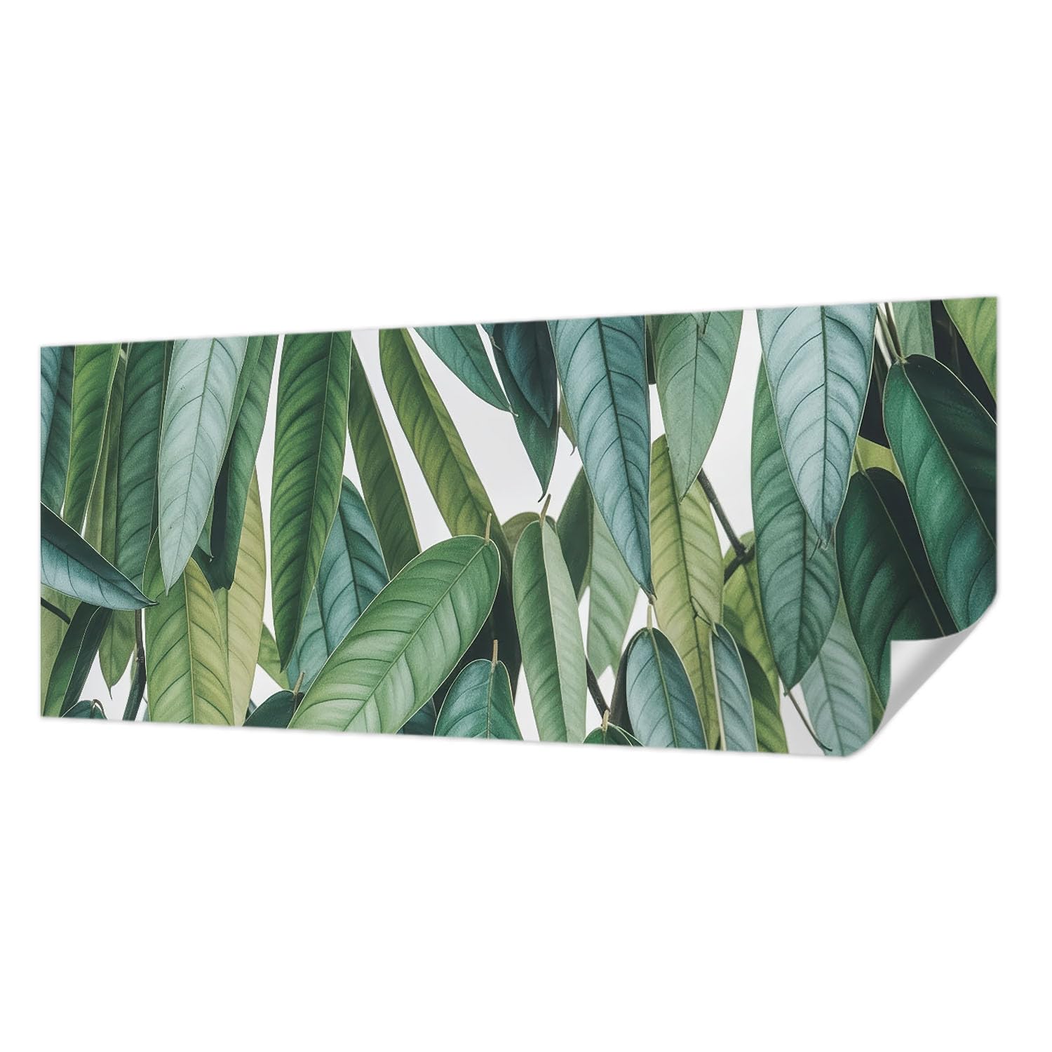 Papier peint autocollant panoramique feuilles naturelles 250x104 cm