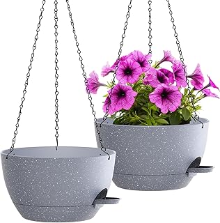 10 Pergola Ideas With Plants for Natural Shade and Beauty 63 WOUSIWER Self Watering Hanging Planters, 2 Pack 12'' Plastic Pots with D...