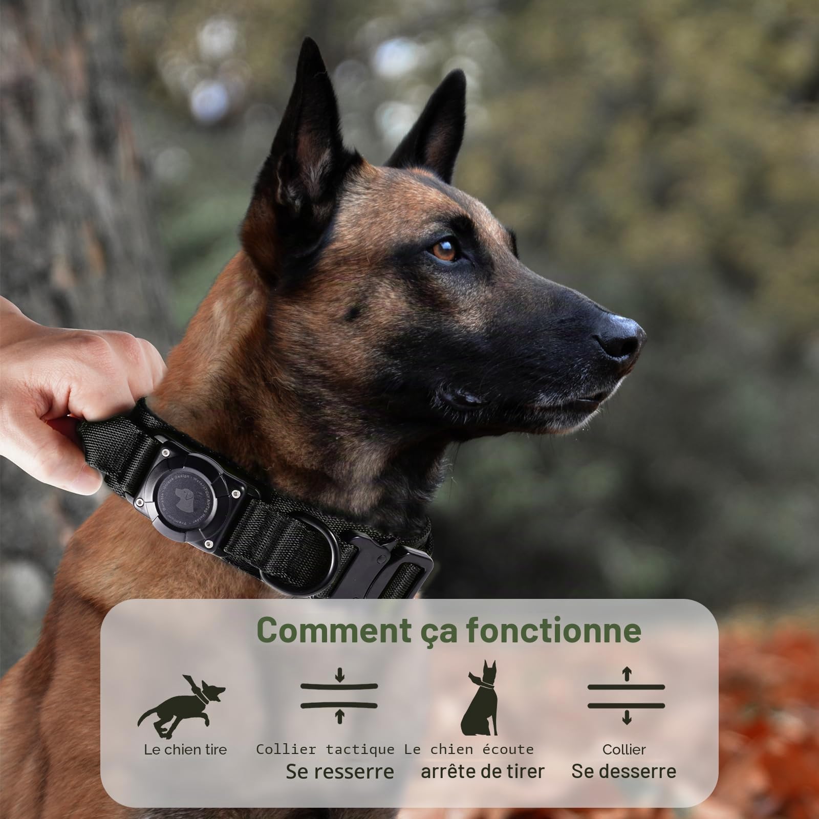 AirTag Tactical Dog Collar JIARUI Collier Tactique pour Chien avec Poignée, Collier Étanche Airtag pour Chien, Collier Épais Réglable (Noir, M(15"-19"))