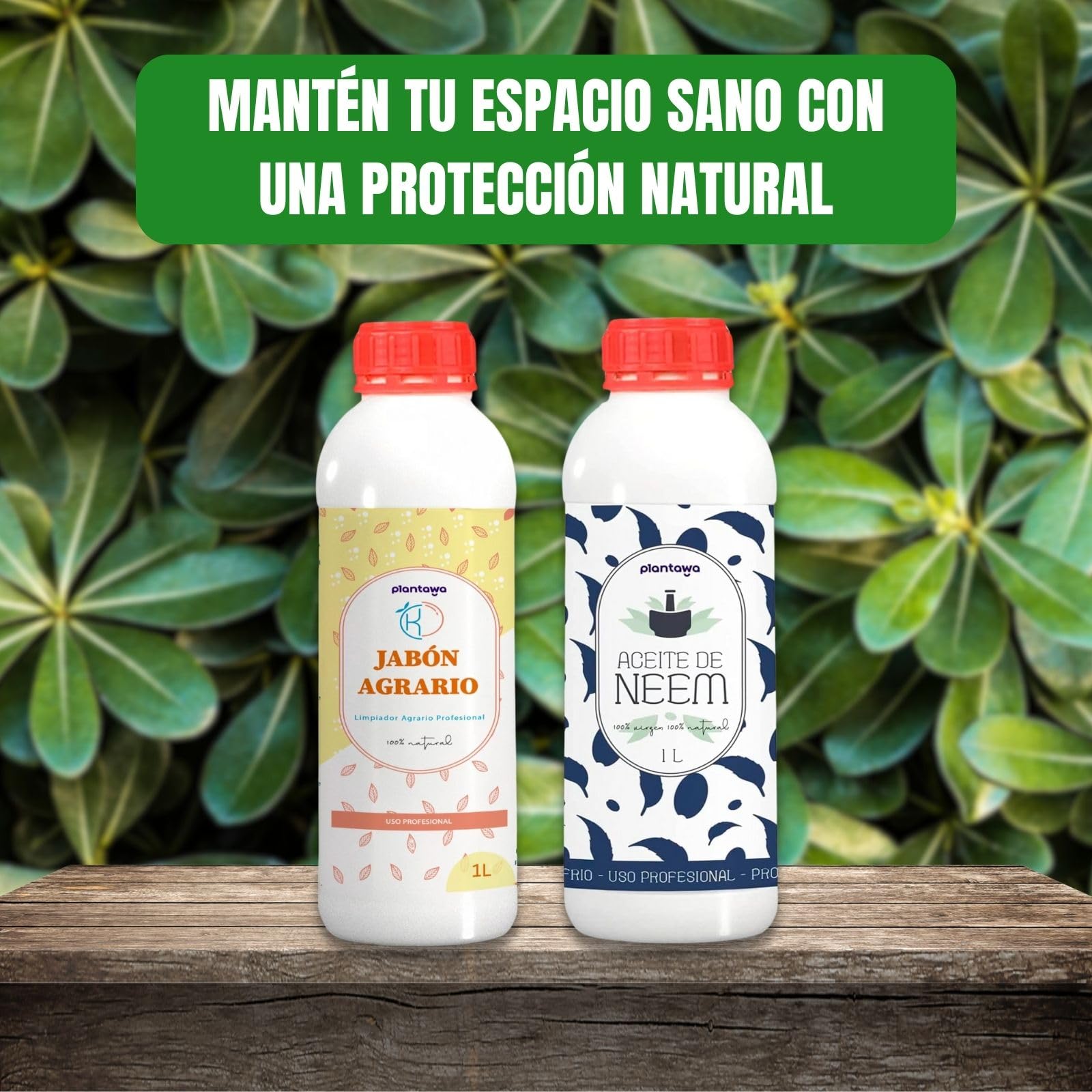 PLANTAWA Confezione risparmio sapone di potassio 1L + olio di Neem 1L, 100% naturale protezione orto, sostenibile, alta concentrazione, mosca bianca, ragno rosso, afide, cocciniglia