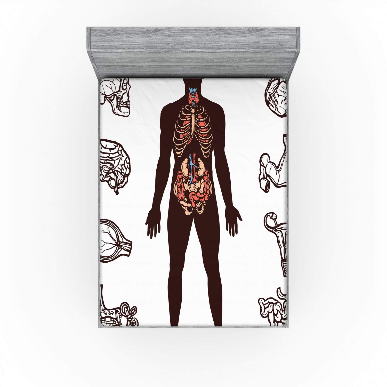 Ambesonne Anatomy Fitted Sheet, Human Body with Internal Organs Sketch Health Biology Man Physiology, Soft Decorative Fabric Bedding All-Round Elastic Pocket, Full Size, Dark Brown White