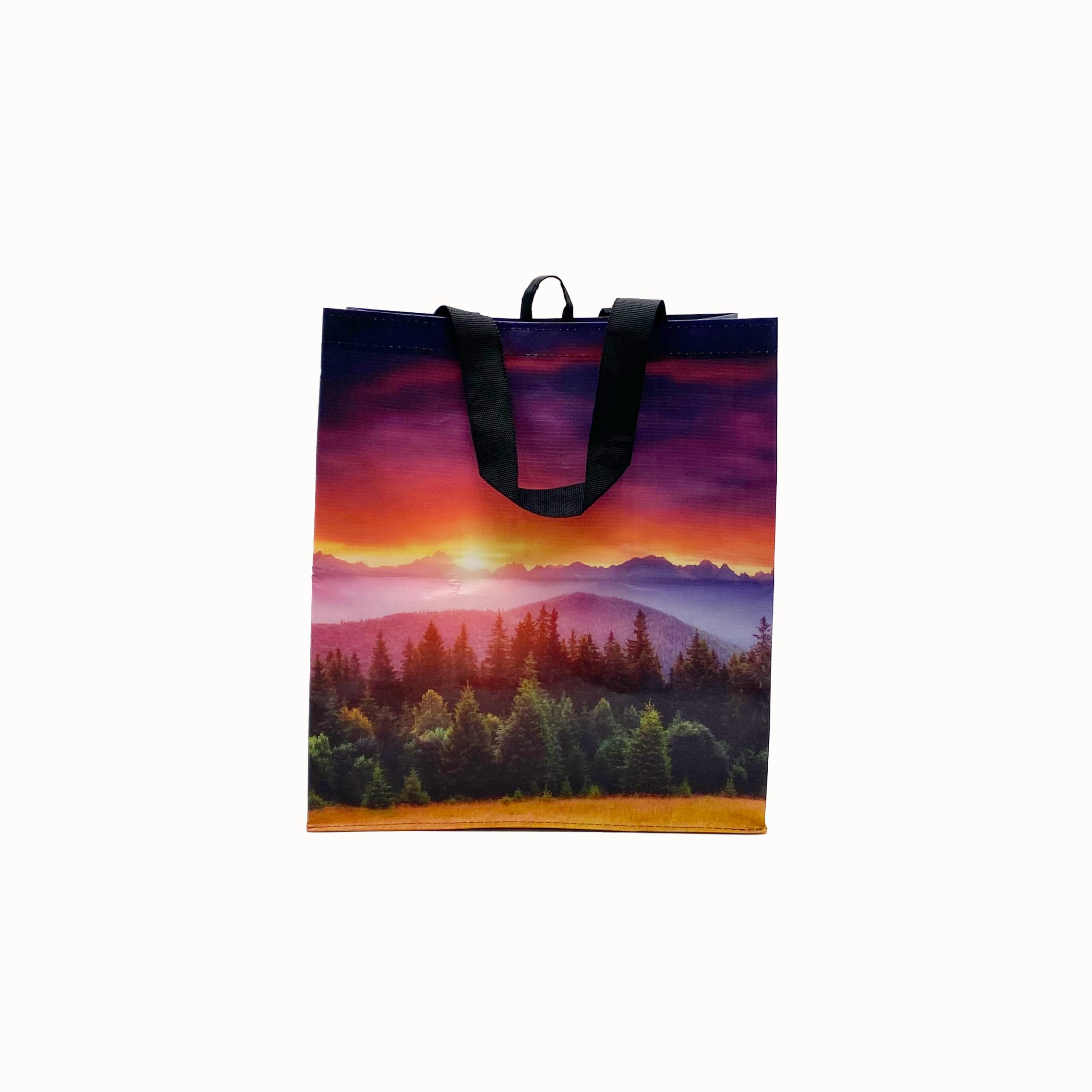 Earthwise Reusable Shopping Bags Extremely Durable Multi Use Large