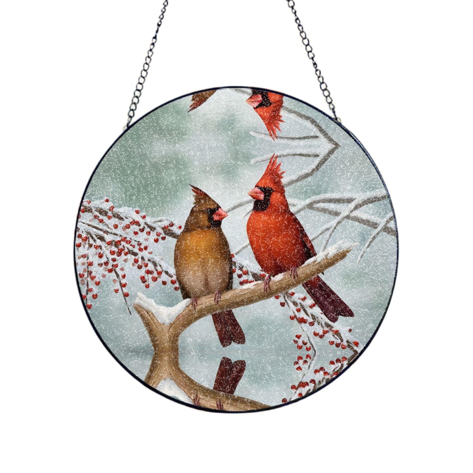 Phayah Birds Print Glass Window Hanging Sun Catchers Suncatcher Decor For Birthday For Home Garden Porch 8in（20cm）
