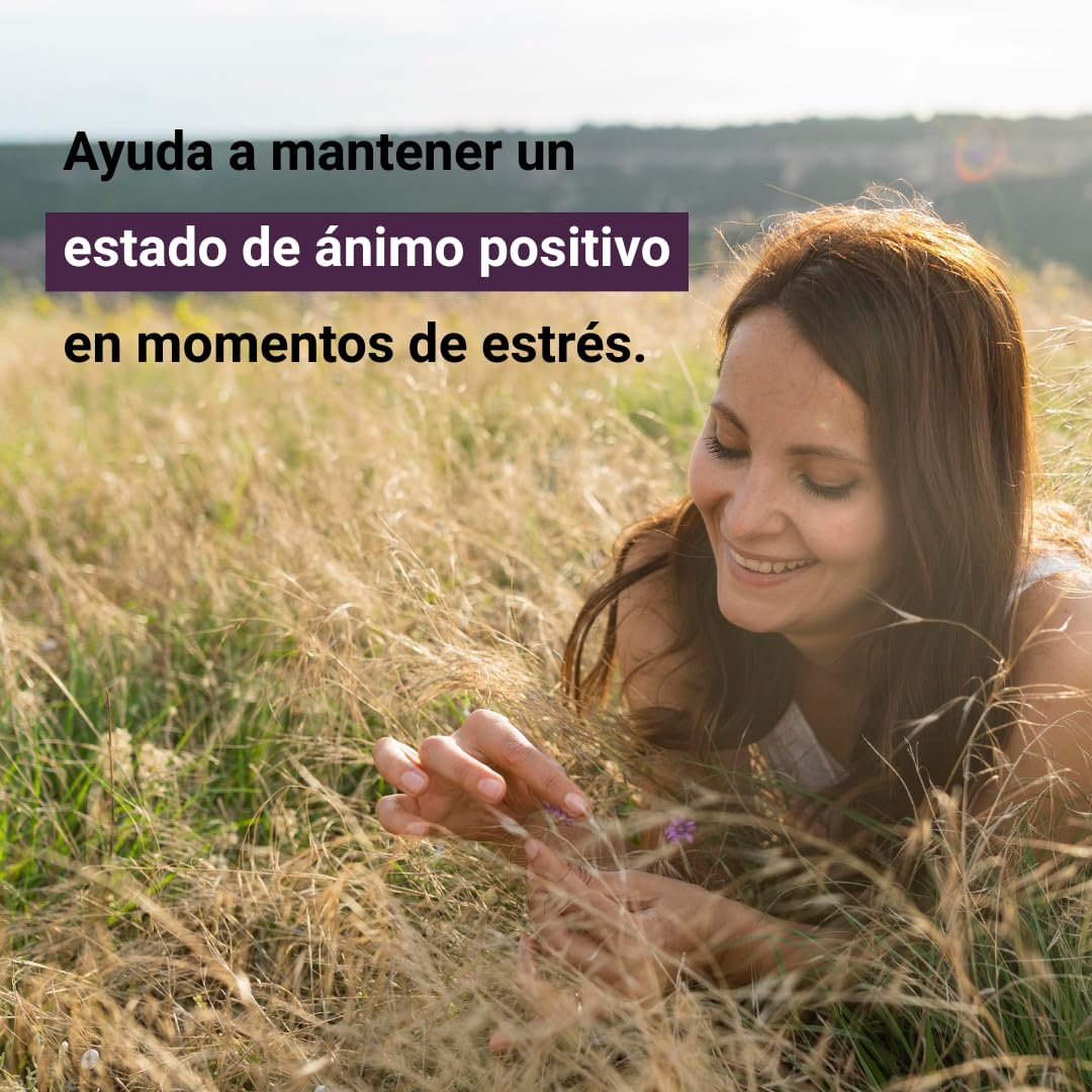 Ansiomed Mente Positiva 45 Comprimidos - Pack de 2 - Ayuda a Mantener un Estado de Ánimo Positivo en Momentos de Estrés - Azafrán, Rhodiola, Grifonia, Magnesio y Vitaminas