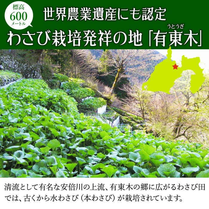 Amazon | わさび栽培発祥の地 有東木の本わさび (中サイズ 3本) | 大五