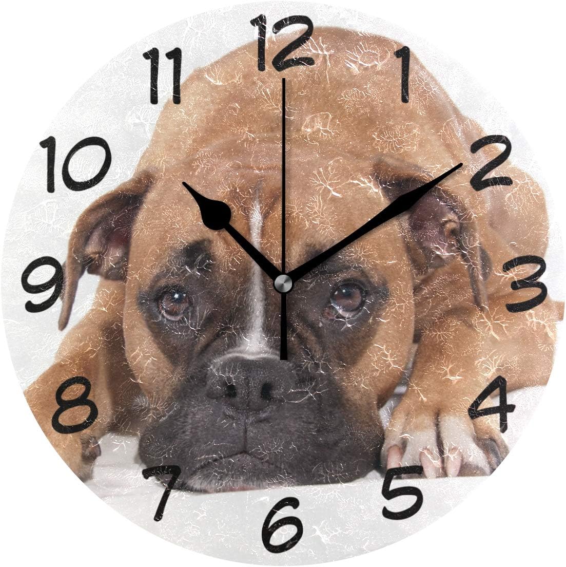 DragonSwordlinsu COOSUN Beautiful Boxer Dog Wall Clock Silent Non Ticking Acrylic Decorative 10 Inch Round Clock for Home Office School