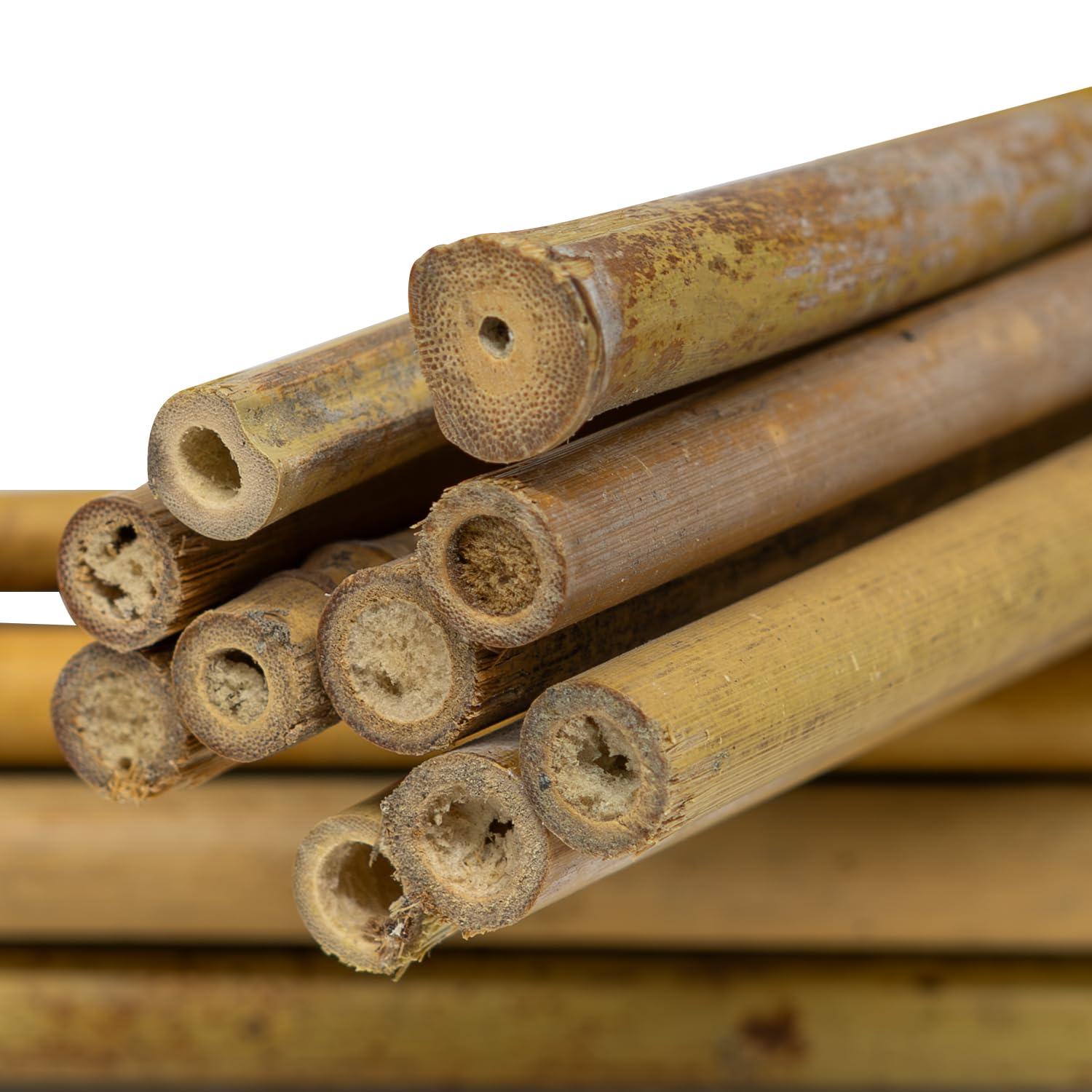 Woodside 100% Natural Bamboo Canes – Pack of 10 Heavy Duty Plant Support Sticks/Garden Stakes – 2ft, 3ft, 4ft, 5ft, 6ft