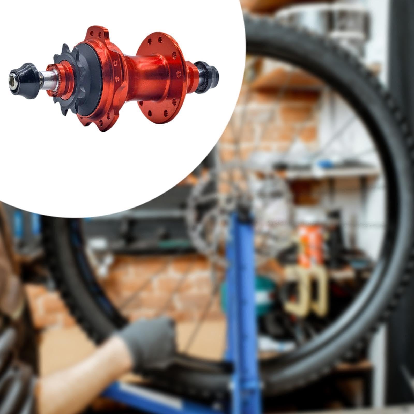Amazon | Pegciuho 20 穴自転車リアハブ 9T シングルスピード