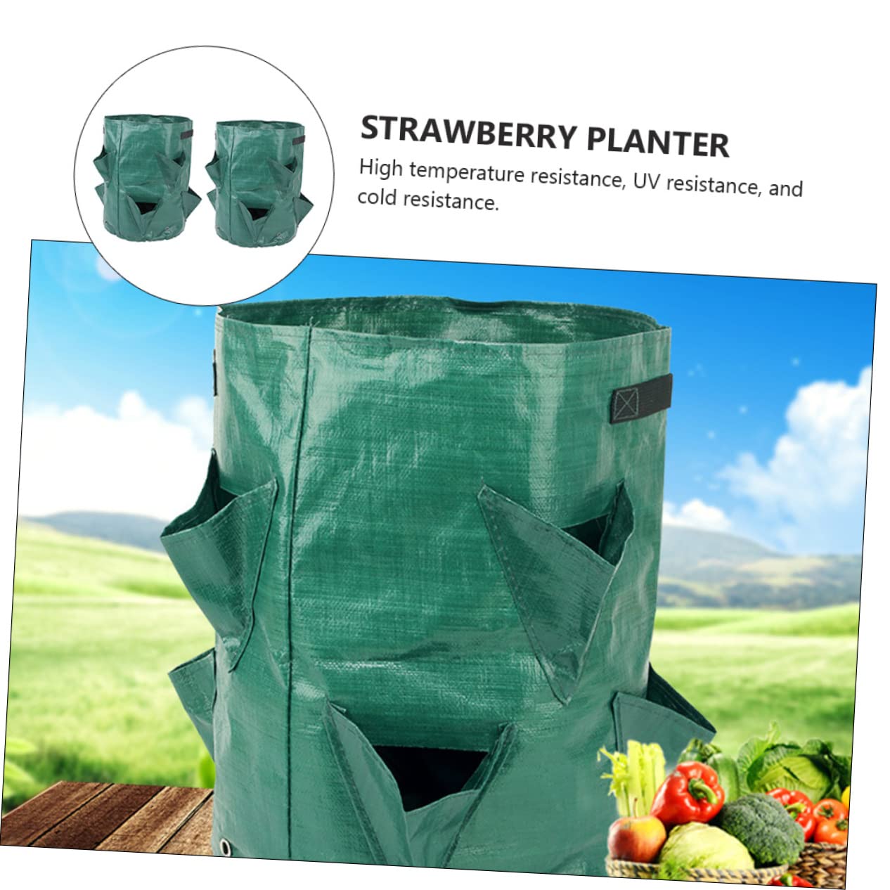 HANABASS 2 Series Bolsa De Plantación De Fresas PE De Unidades De Accesorios De Jardinería Colgantes Fomentan El Crecimiento Vegetal Ventilación De 2 Piezas*2