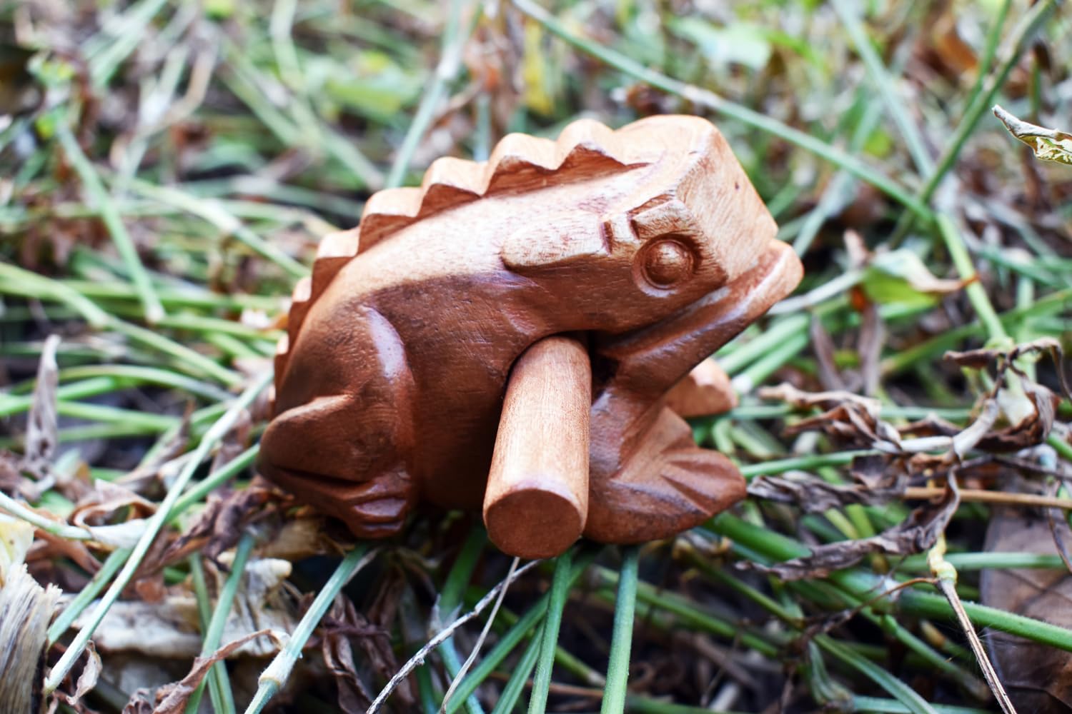 Amazon.com: Frog guiro 4 inches wood block musical instrument