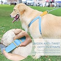 Vista 36 de No Pull Dog Harness and Leash Set, Step in Dog Halter Harness with Poop Bag Holder, Adjustable Lightweight Cotton Straps Suitable for Small Medium