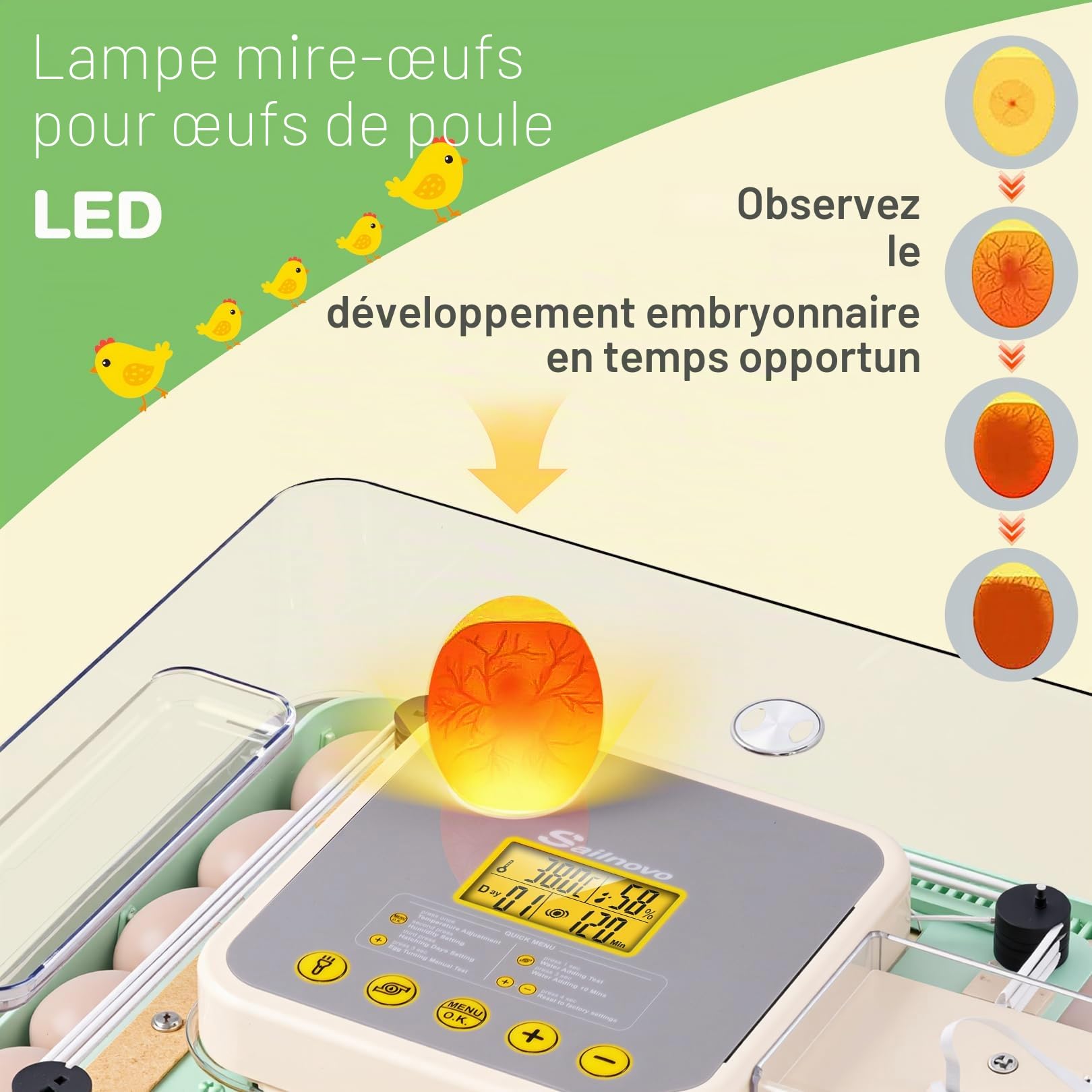 Sailnovo Couveuse pour 48 œufs entièrement automatique avec contrôle de la température et de l'humidité, rotation automatique - Incubateur d'œufs pour poulet, canard, caille - Pour la ferme, l'école