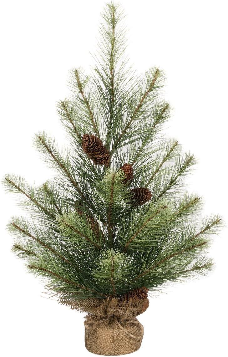 Sullivans Artificial Tannenbaum Fir Tree & Pine Cones with Burlap Base (24")