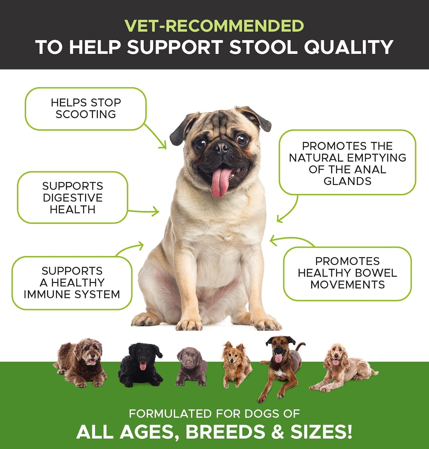 Pet Honesty Digestive Probiotic Soft Chews for Dogs - Natural Digestive Support, Immunity Health, Seasonal Allergies, Occasional Diarrhea & Constipation Due to Normal Environmental Issues - (Duck) : Pet Supplies