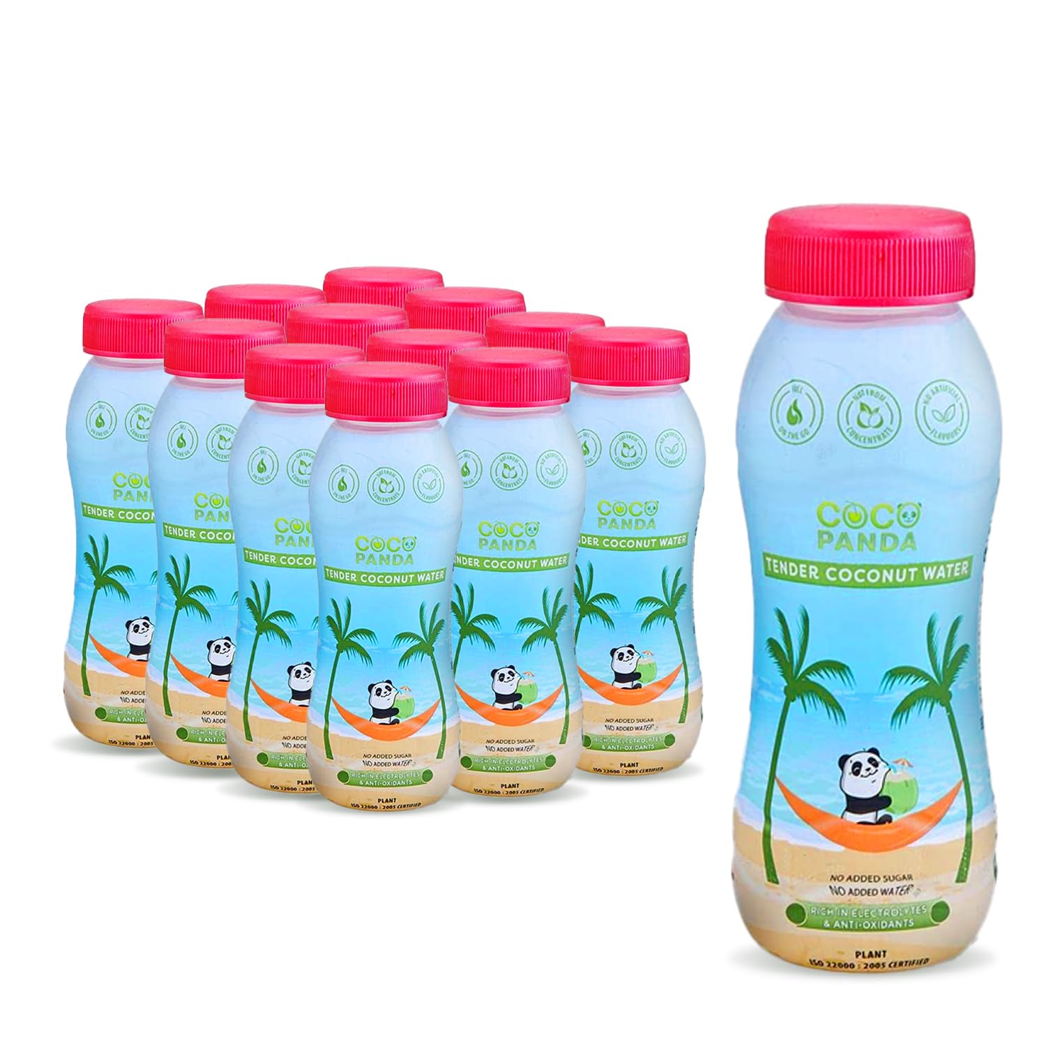 Coco Panda 100% Natural Tender Coconut Water - Pack of 12 (each 200 ml) | No Added Sugar or Artificial Flavor | Extracted from Real Green Young Tender Coconuts | Instant Hydration, Energy Booster