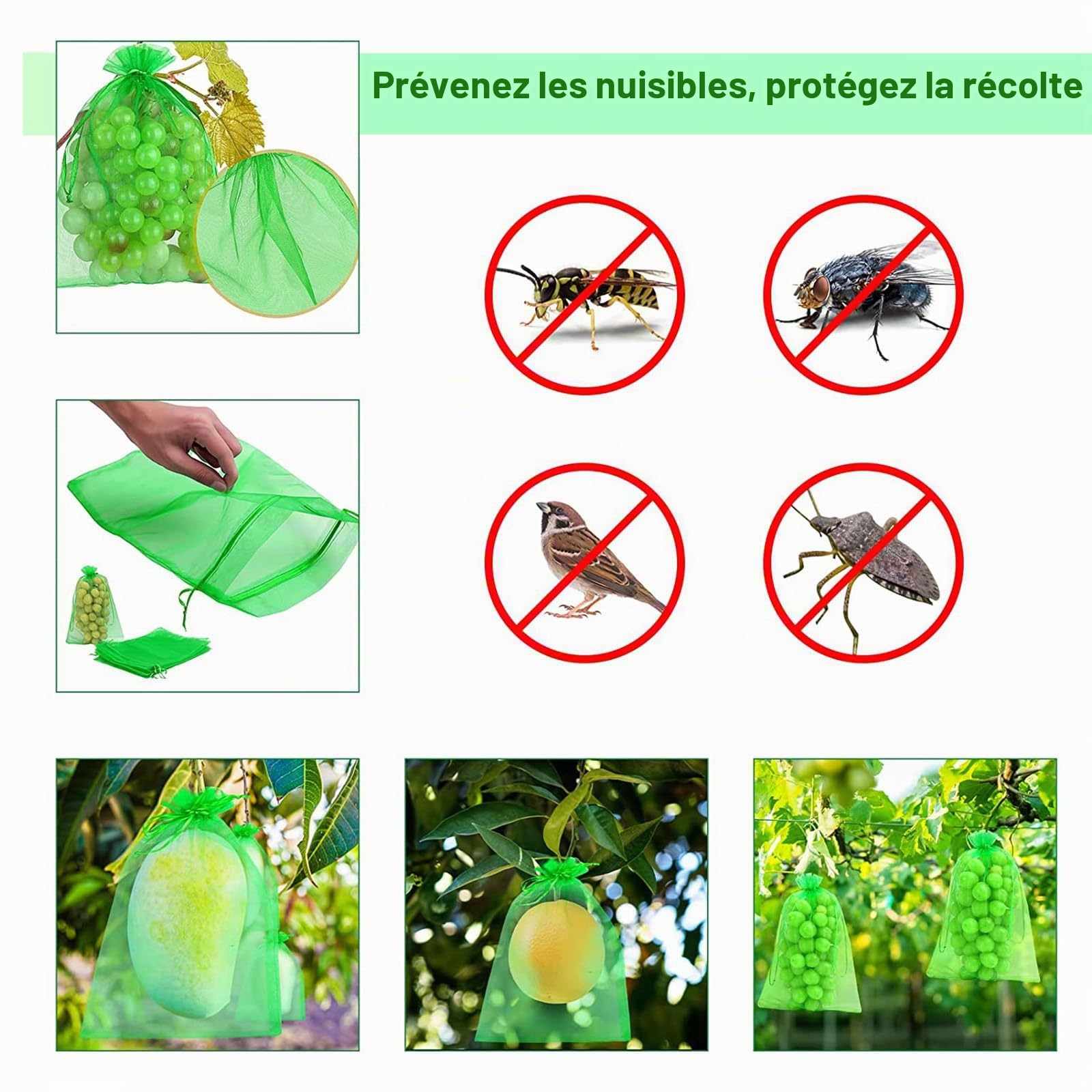 60 Pièces Sac Protection Raisin, Sacs Filets Protection Vert Sac Organza avec Cordon, Sacs Filets Protection des Grappes de Raisins Contre Guêpe Drosophile Scarabées Oiseaux, 20 * 30cm