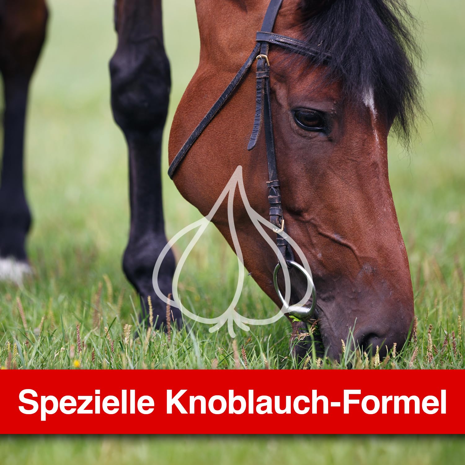 KerbEX rot 5 Liter Insektenabwehrmittel für Pferde gegen Bremsen Mücken Zecken