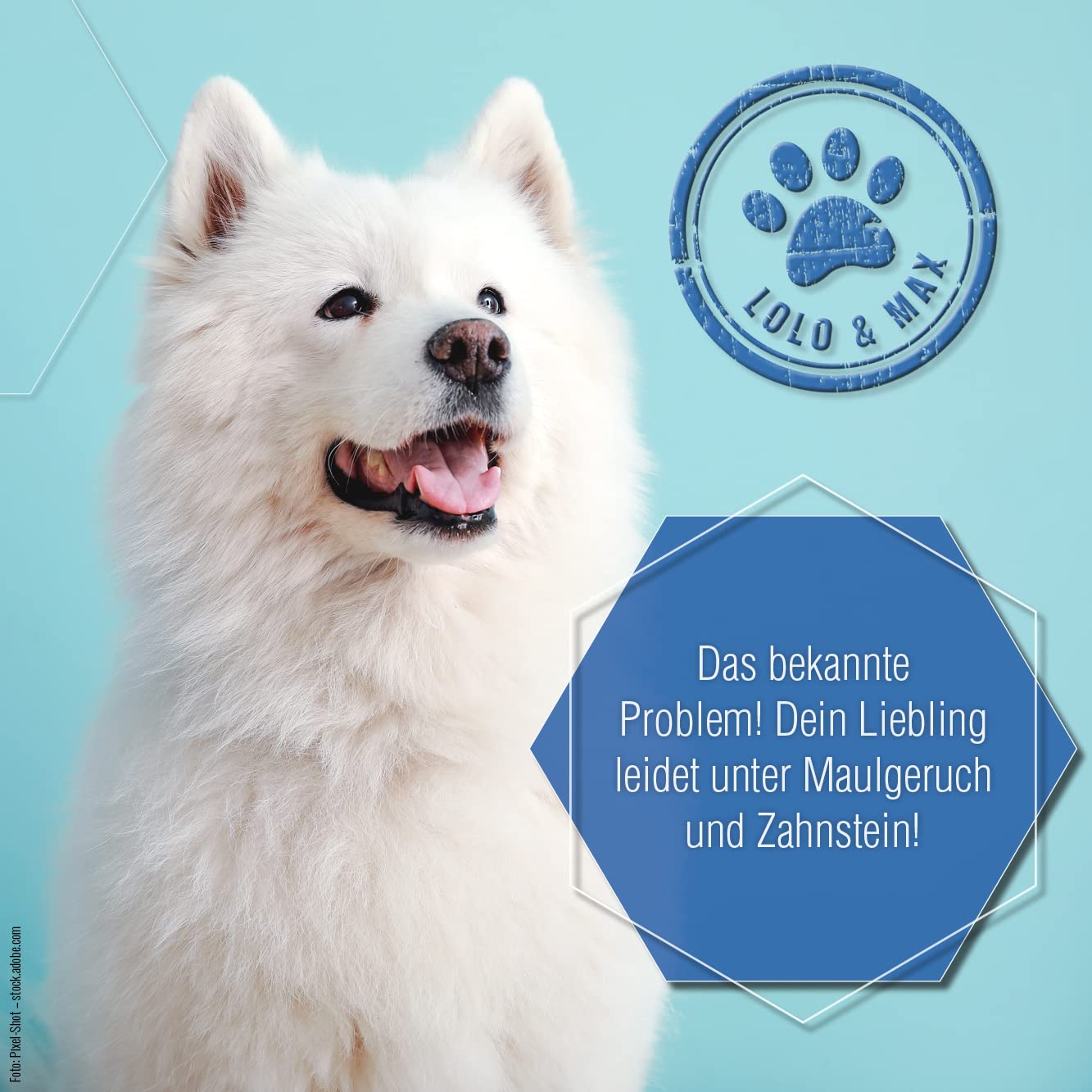 Lolo & Max natürliche Zahnpflege für Hund & Katze - DentaCare Trinkwasserzusatz zur Zahnreinigung für Haustiere - gegen Zahnbelag, Zahnstein & Maulgeruch - vegan - kein Mundgeruch mehr - 470ml