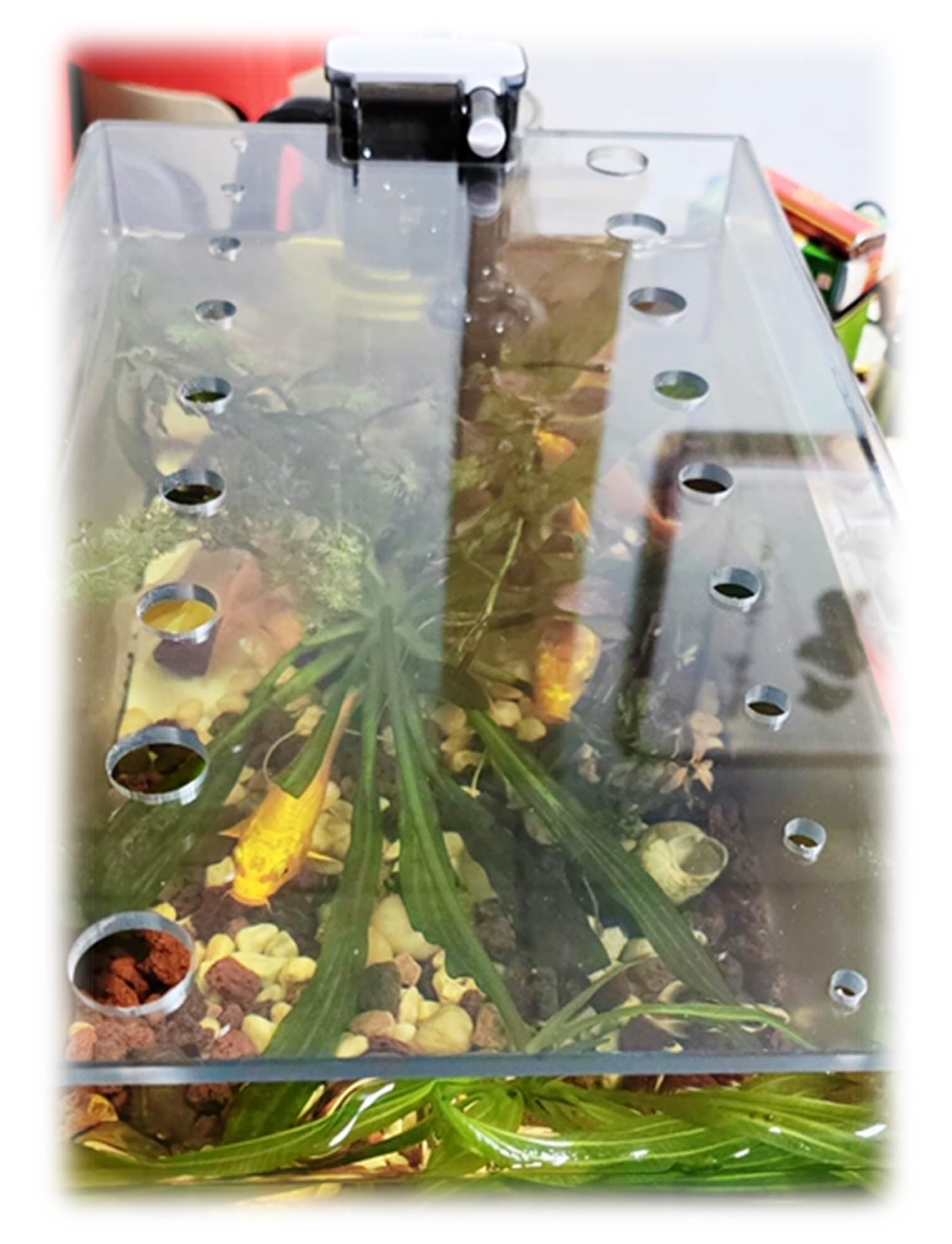 Coperchio per acquario in acrilico