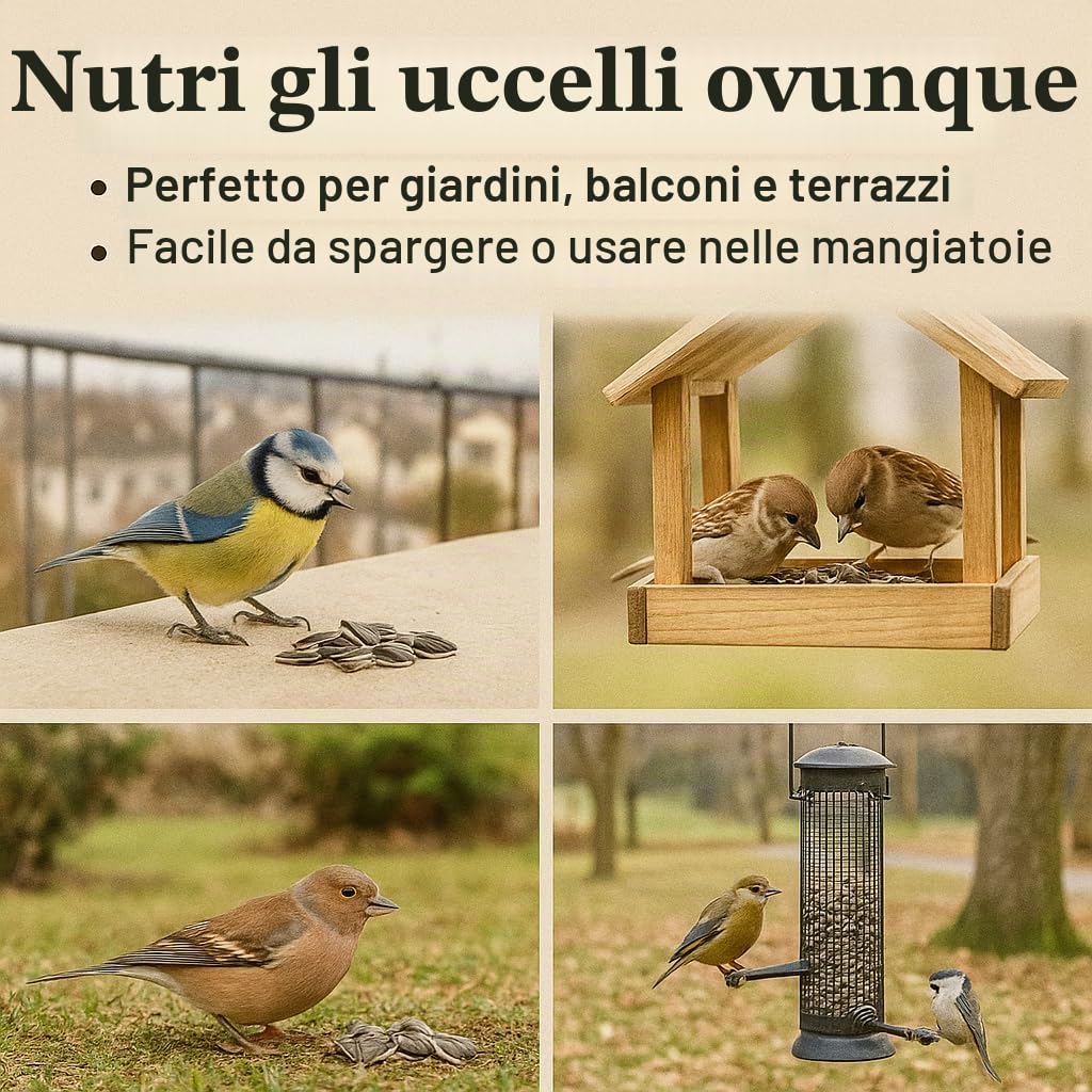 GiDeli Semi Di Girasole A Righe, 25 Kg, Mangime Per Uccelli Selvatici E Domestici, Per Tutto L'Anno, Invernale, Per Cinciette, Fringuelli, Passeri, Ricchi Di Olio