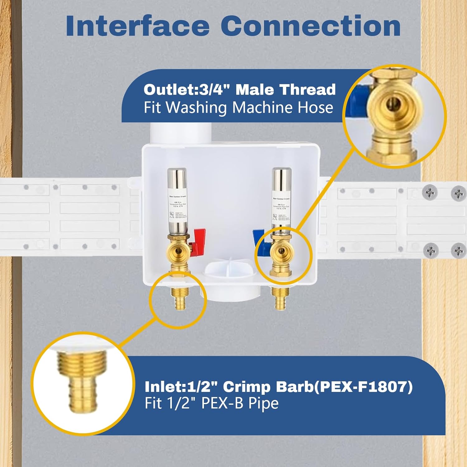 50-Pack GUOFIS Washing Machine Outlet Box,1/2 Inch PEX Crimp Inlet x 3/4 Inch MHT Outlet, Laundry Washer Box with Stainless Steel Water Hammer Arrestor (Center Drain)