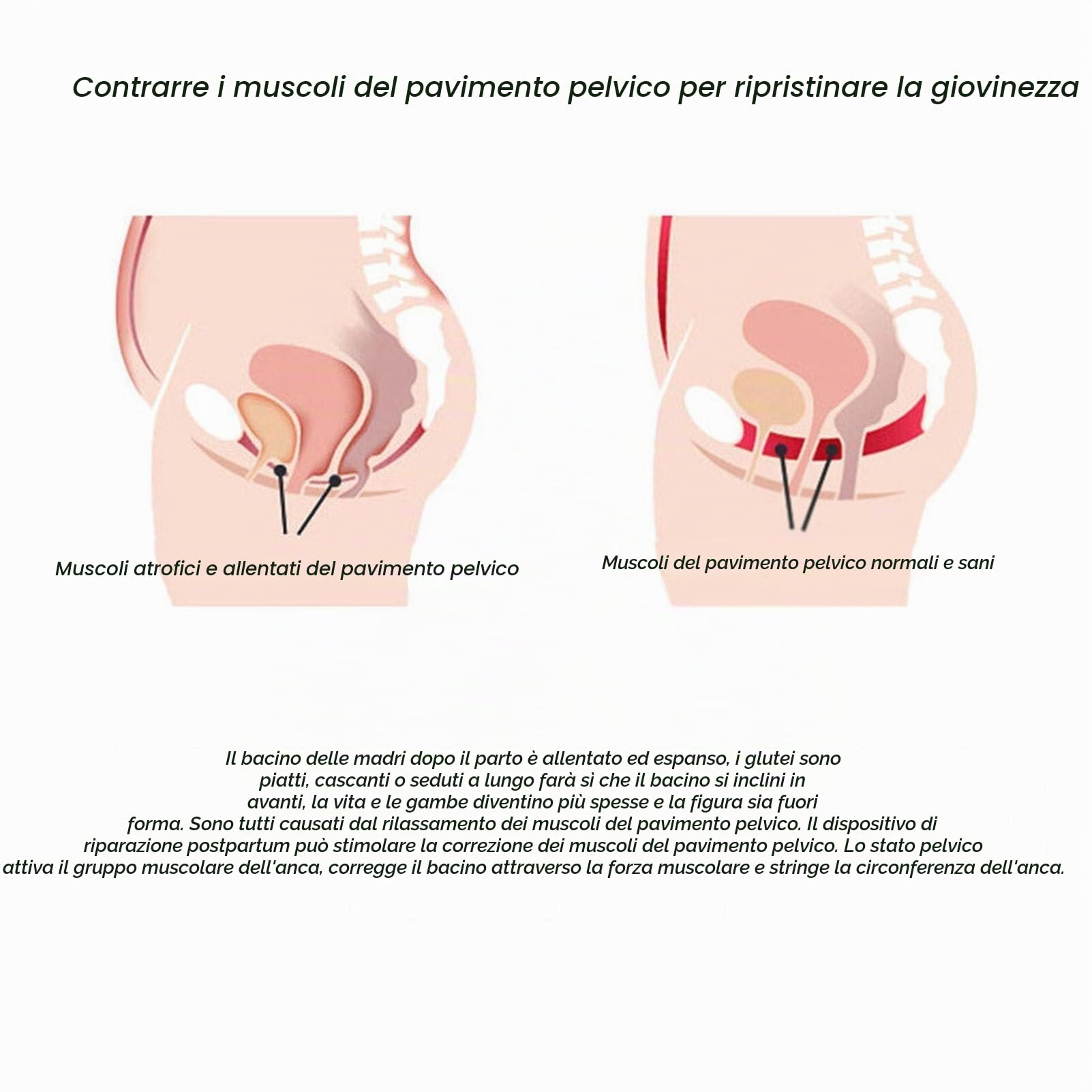 YOGAYE Rinforzante del Pavimento Pelvico for Donne, Allenatore Muscolare del Pavimento Pelvico, Impulso di Recupero Postpartum Magnetico del Pavimento Pelvico, Problemi alla Prostata Maschile
