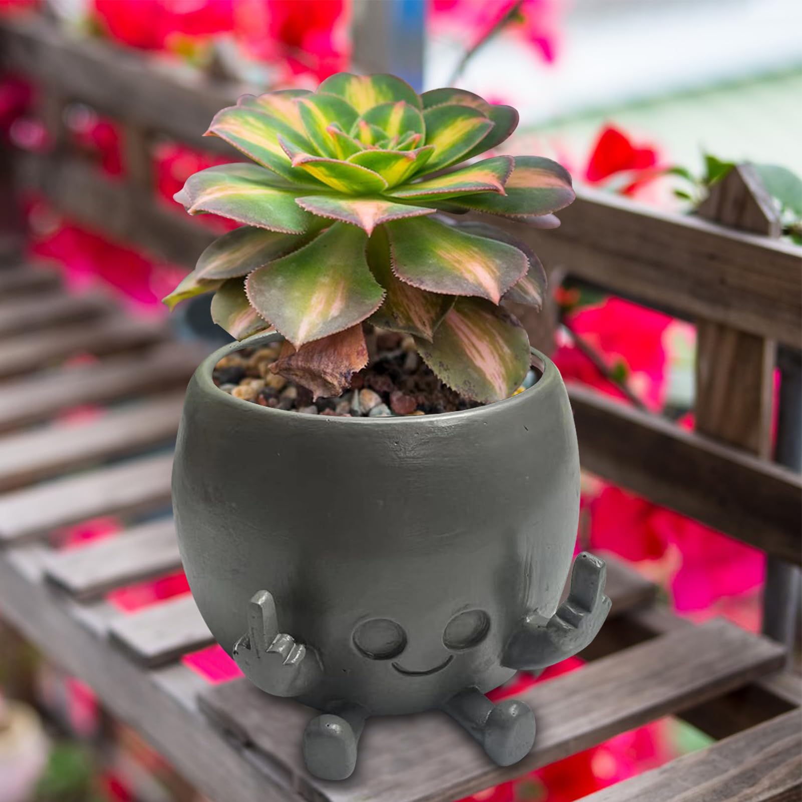 Pots De Fleurs Mignons En Résine Pour Succulentes – Avec Trou De Drainage – Décoration Salon, Jardin, Patio – Cadeau Jardinage