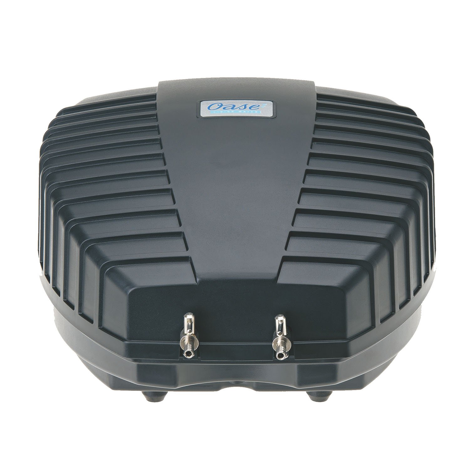 dog food that is chewy