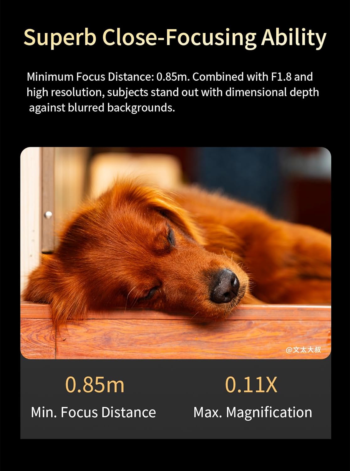 Meike 85mm F1.8 Pro Full Frame Auto Focus Lens for Nikon Z Mount Cameras, STM Stepping Motor 8K Portrait Prime Lens Compatible with Z50 Z50II Z5 Z6 Z7 Z6II Z7II Z6III Z9 Z30 Z8