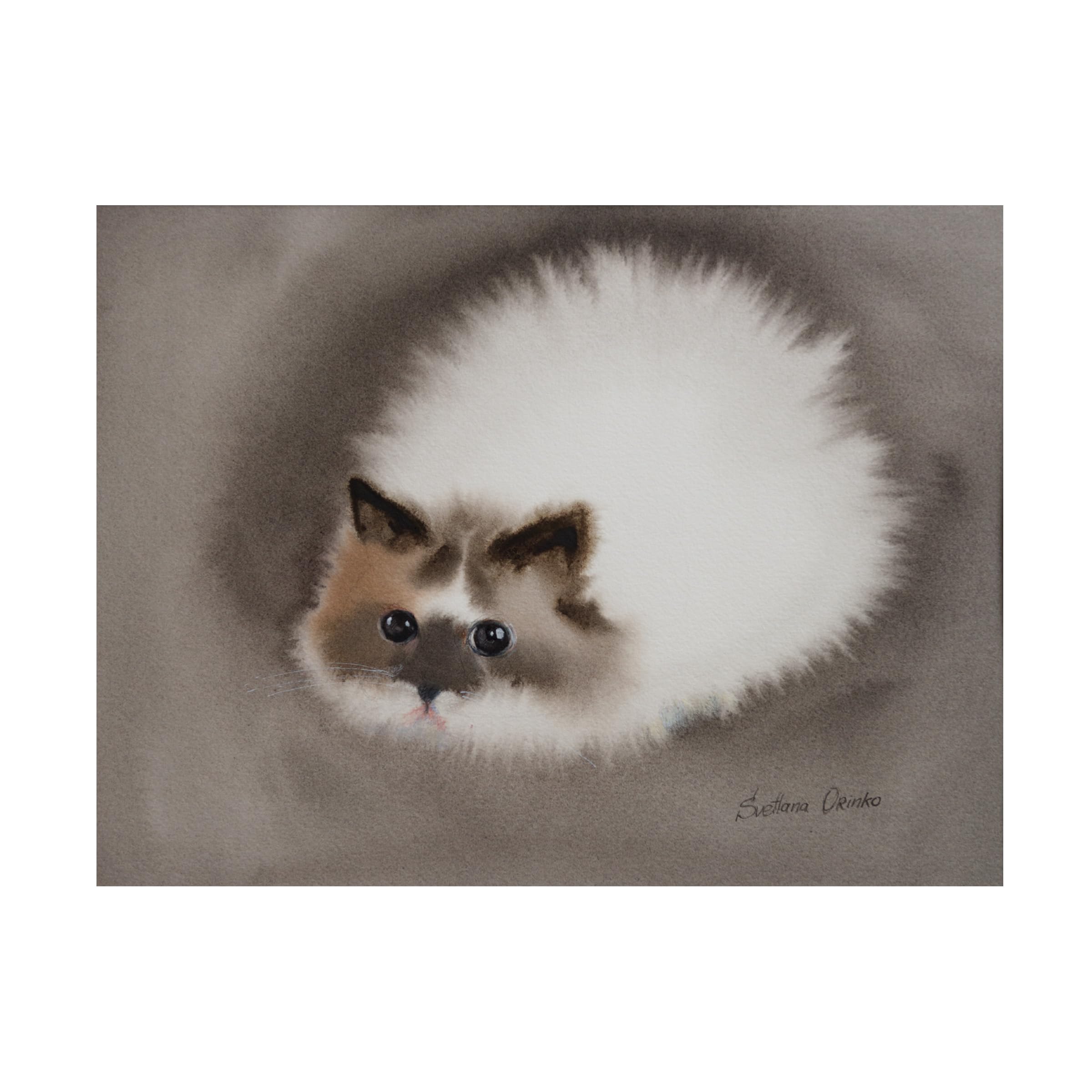 Svetlana Orinko 'Fluffy White Cat' Canvas Art