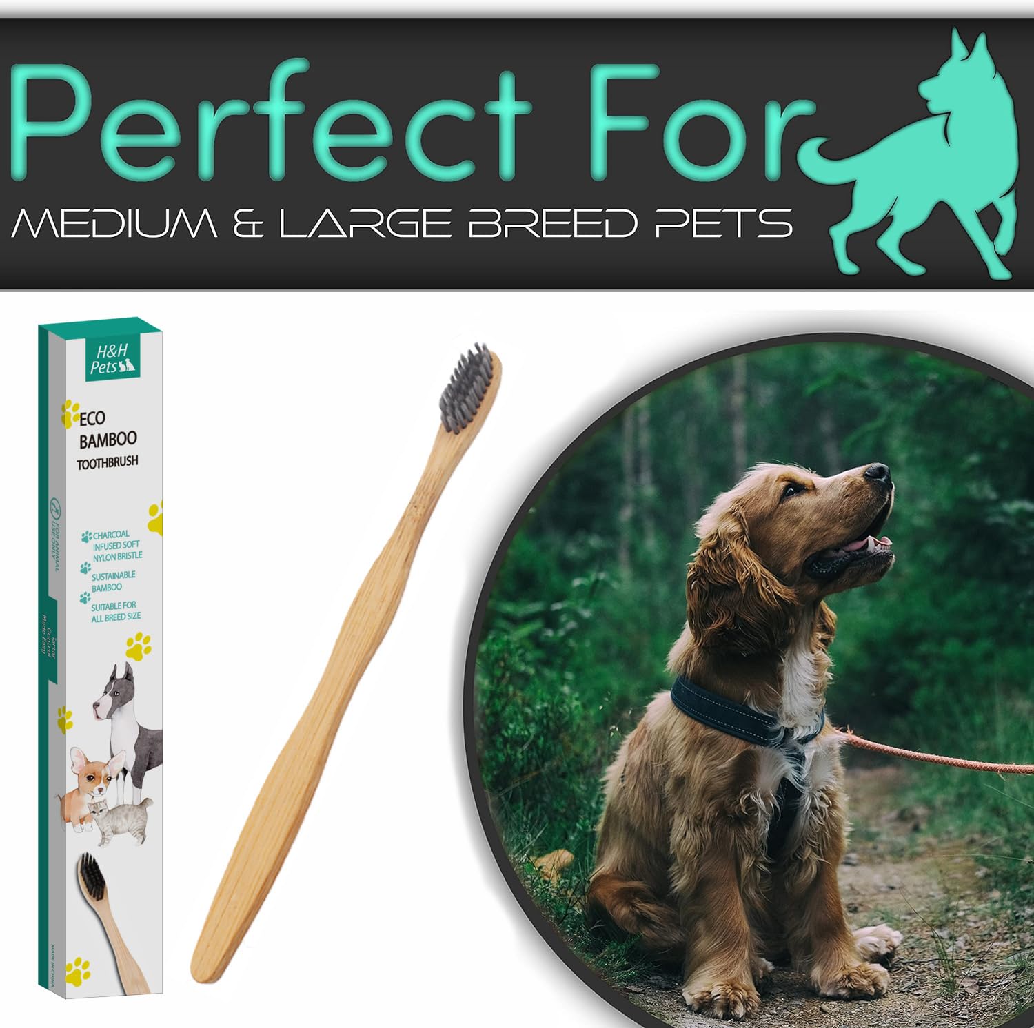 H&H Pets 3 cepillos de dientes de bambú