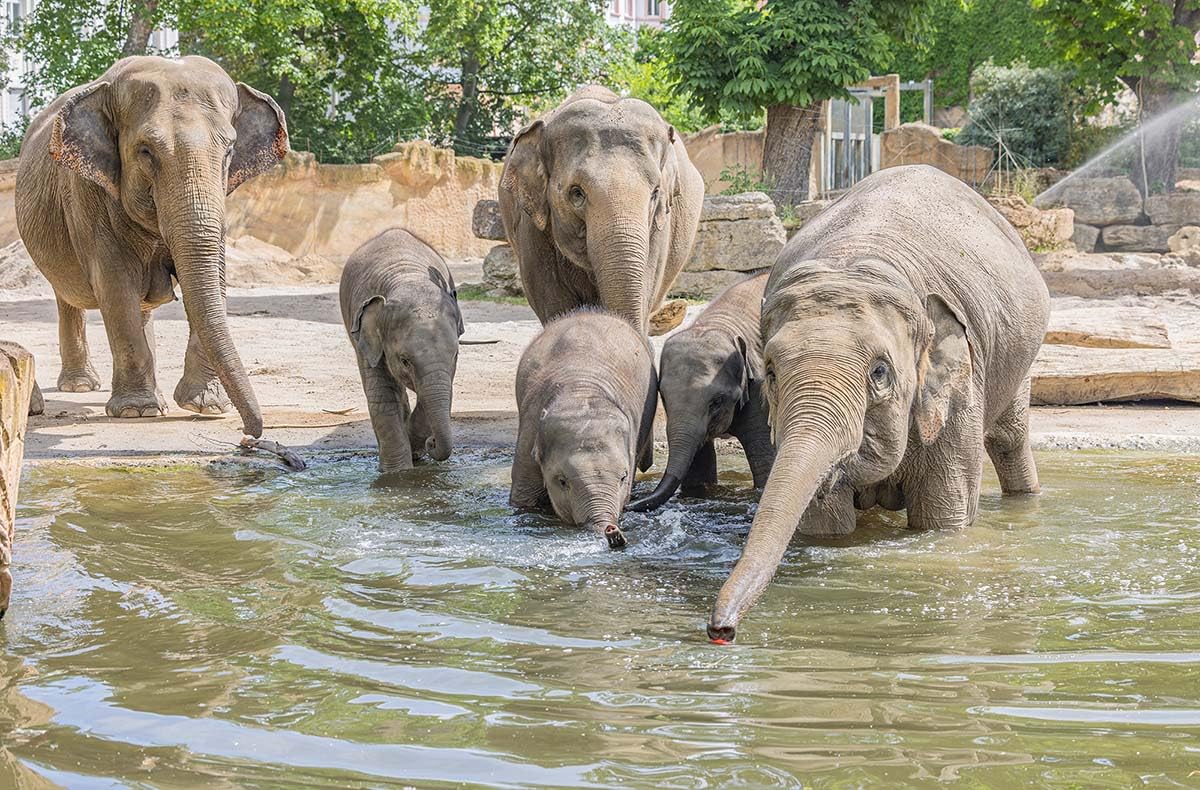mydays Geschenkgutschein: Frühstück & Zoobesuch Leipzig für 2