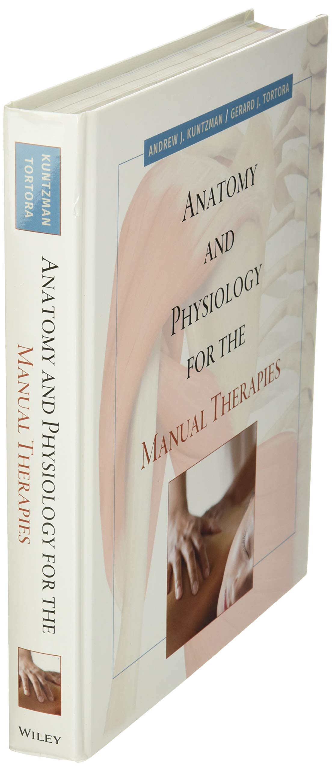 Anatomy and Physiology for the Manual Therapies - Image 3