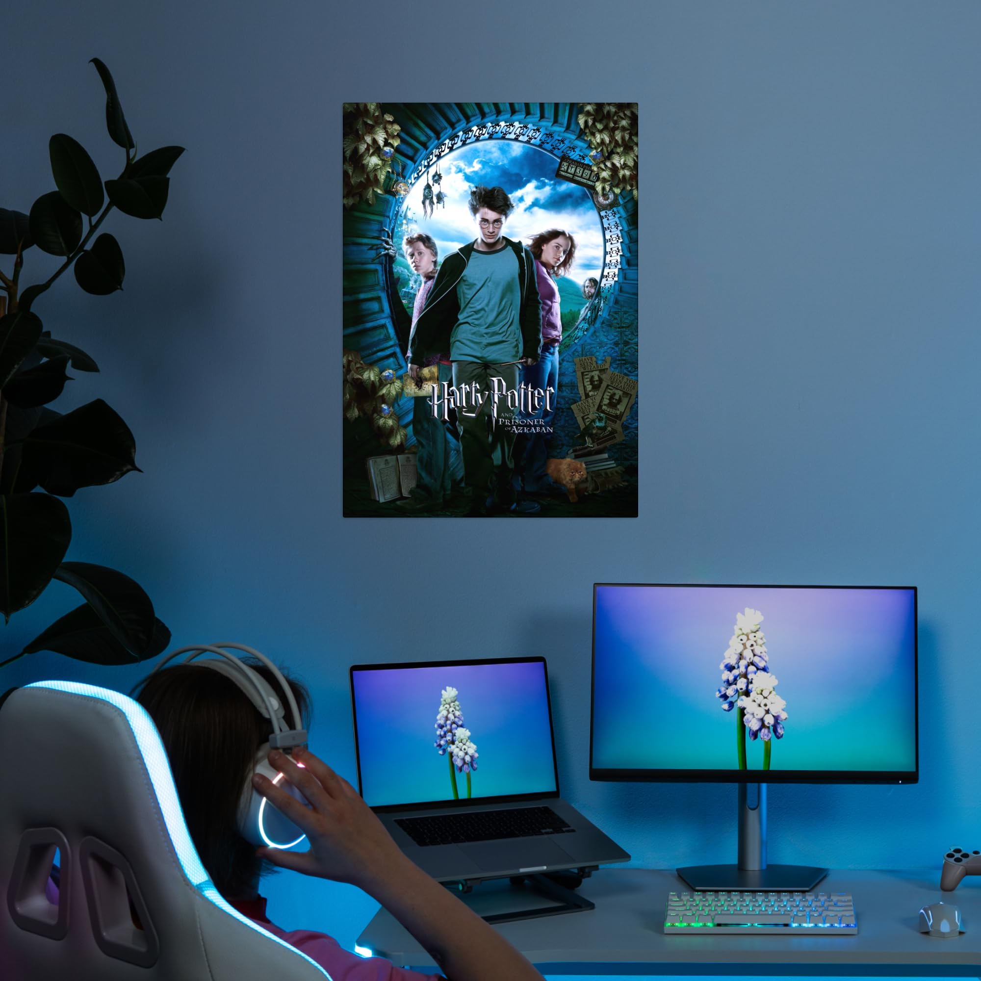 Displate Offiziell Harry Potter MetallPoster Magnetische Befestigung Inklusive Lizenziert Bilder Hochwertiges Poster Prisoner of Azkaban s - Harry Potter 3 45 cm x 32 cm