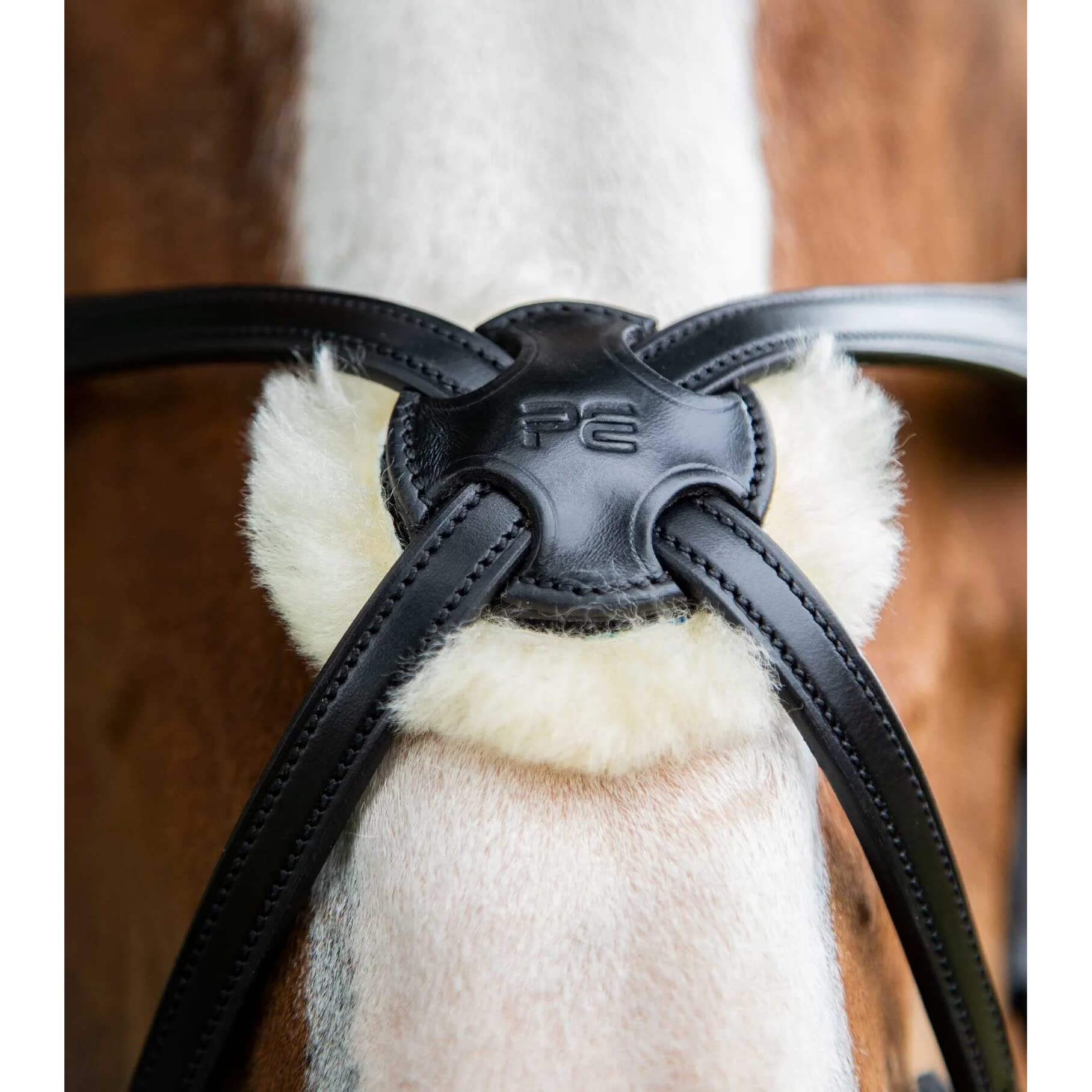 Premier Equine Briglia Snaffle Glorioso