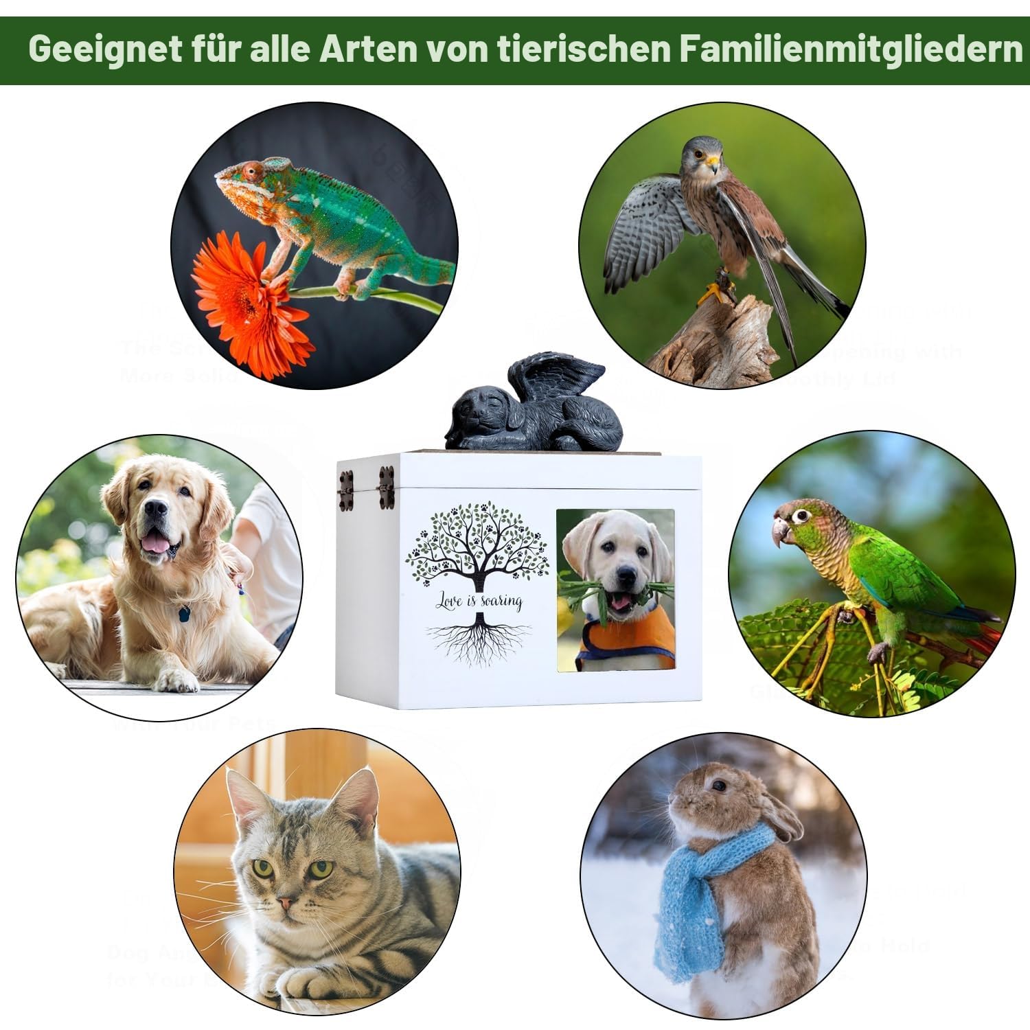 Haustier-Asche-Box-Urnen für Hunde- oder Katzen-Gedenken, XLarge Holz-Bestattungs-Einäscherungs-Urnen mit Bilderrahmen, Gedenk-Erinnerungs-Aufbewahrungsbox mit schwarzem Flanell als Auskleidung