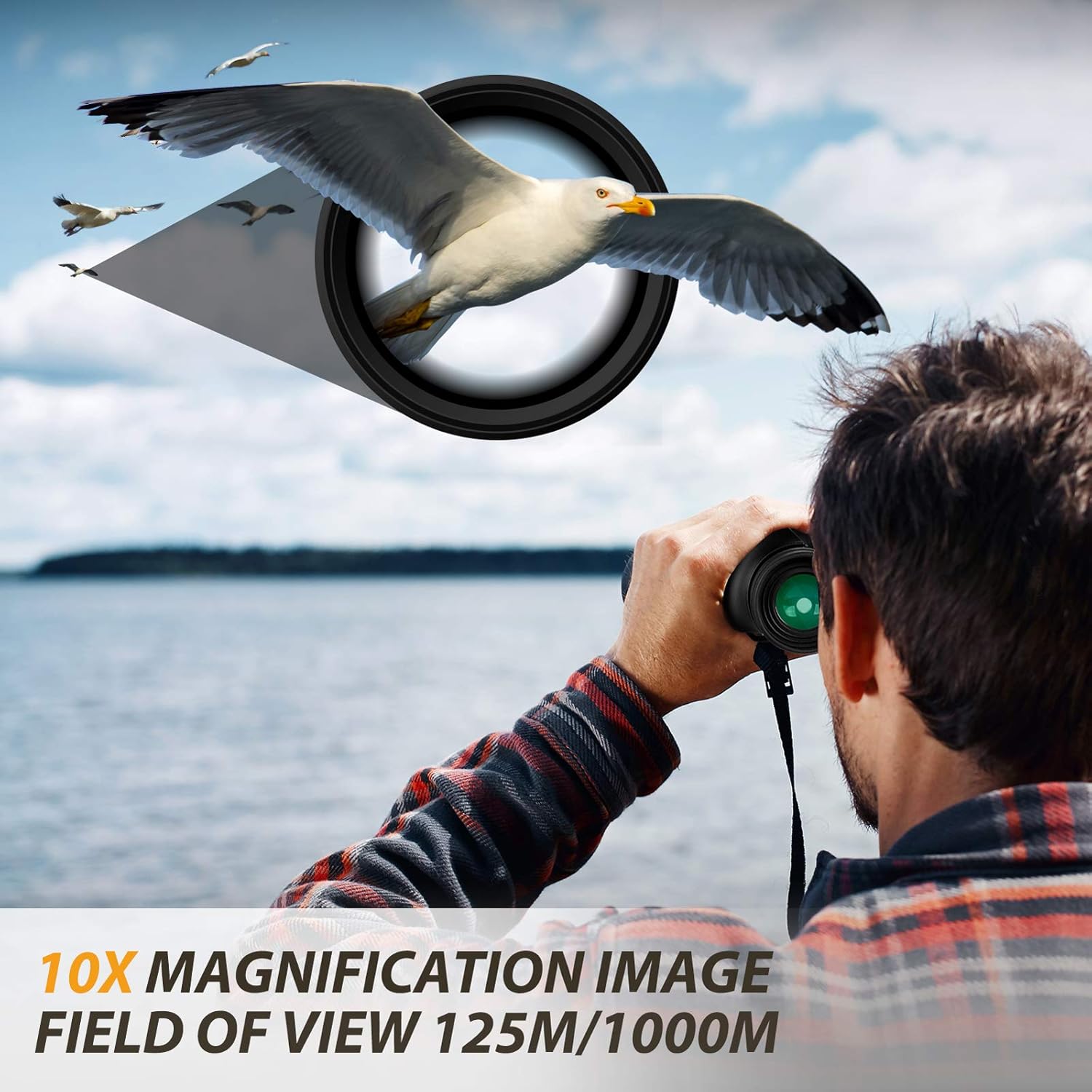 10 x 50 Binoculars for Adults - Professional High Definition Large Field of View Binoculars for Bird Watching Hunting Wildlife Viewing Outdoor Sports Game and Concerts : Electronics